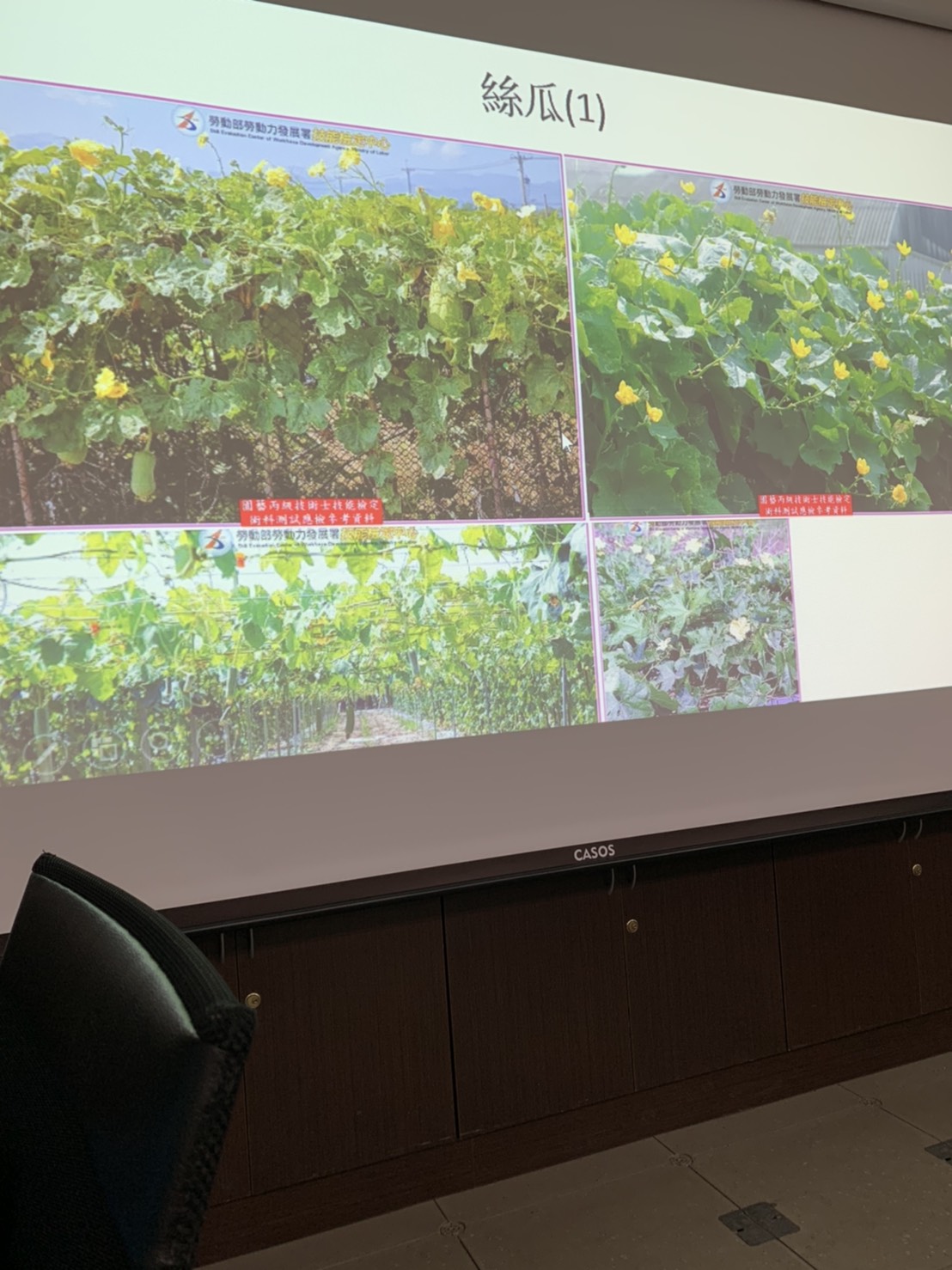 園藝技術果樹類術科資訊