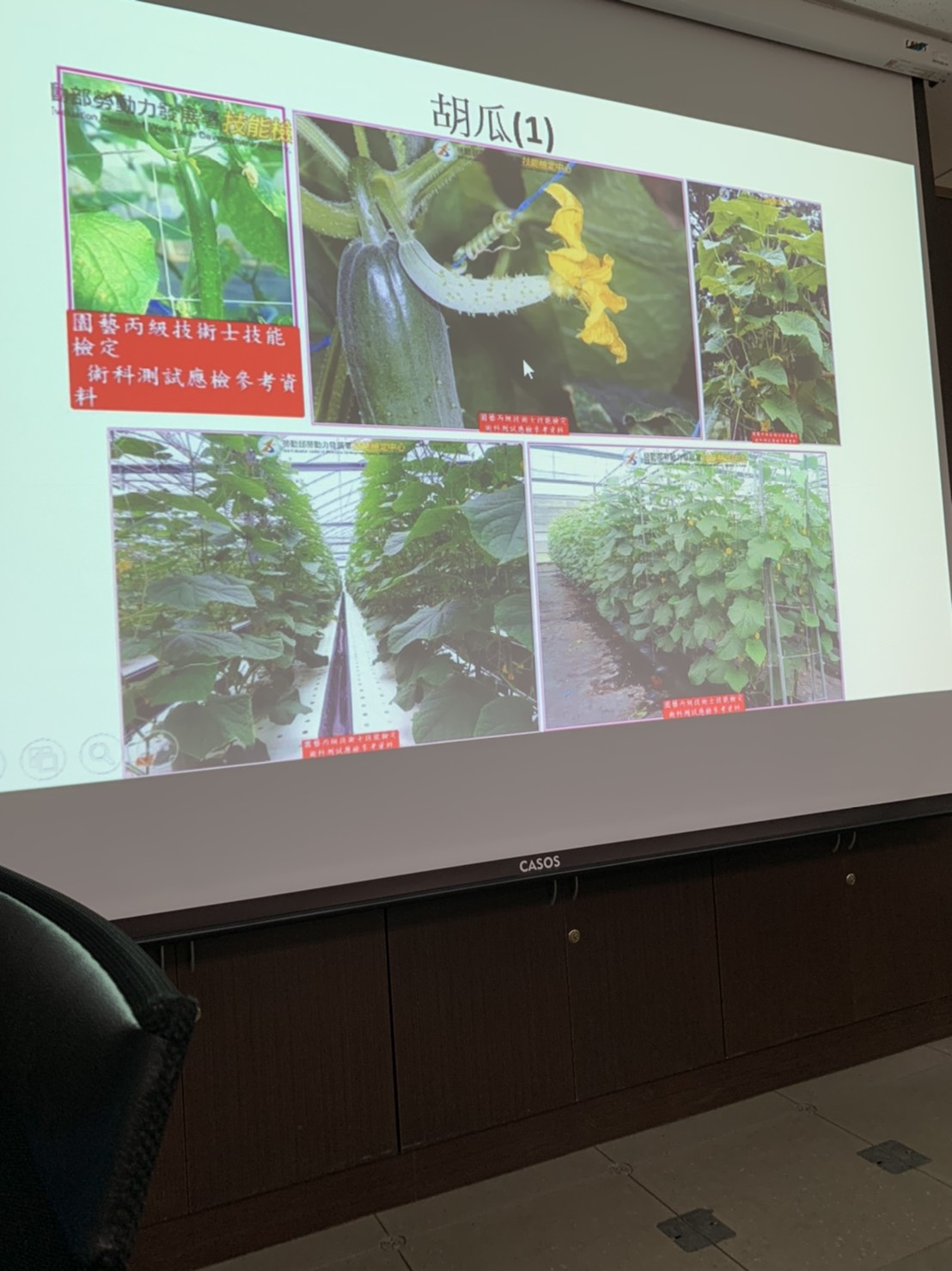 園藝技術果樹類術科資訊