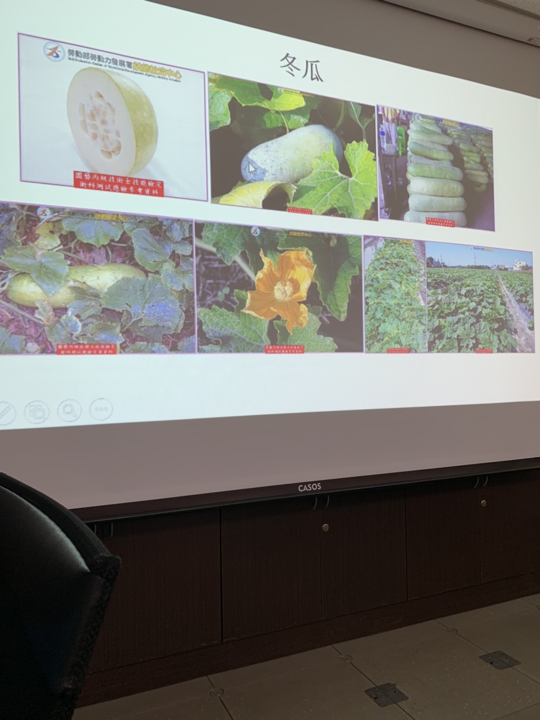 園藝技術果樹類術科資訊