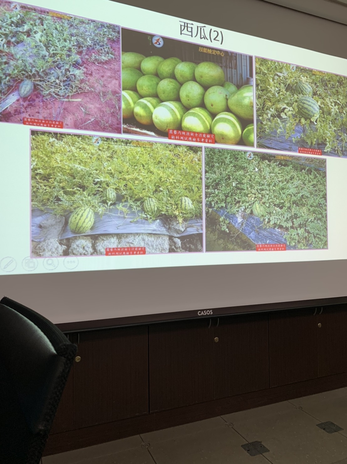 園藝技術果樹類術科資訊