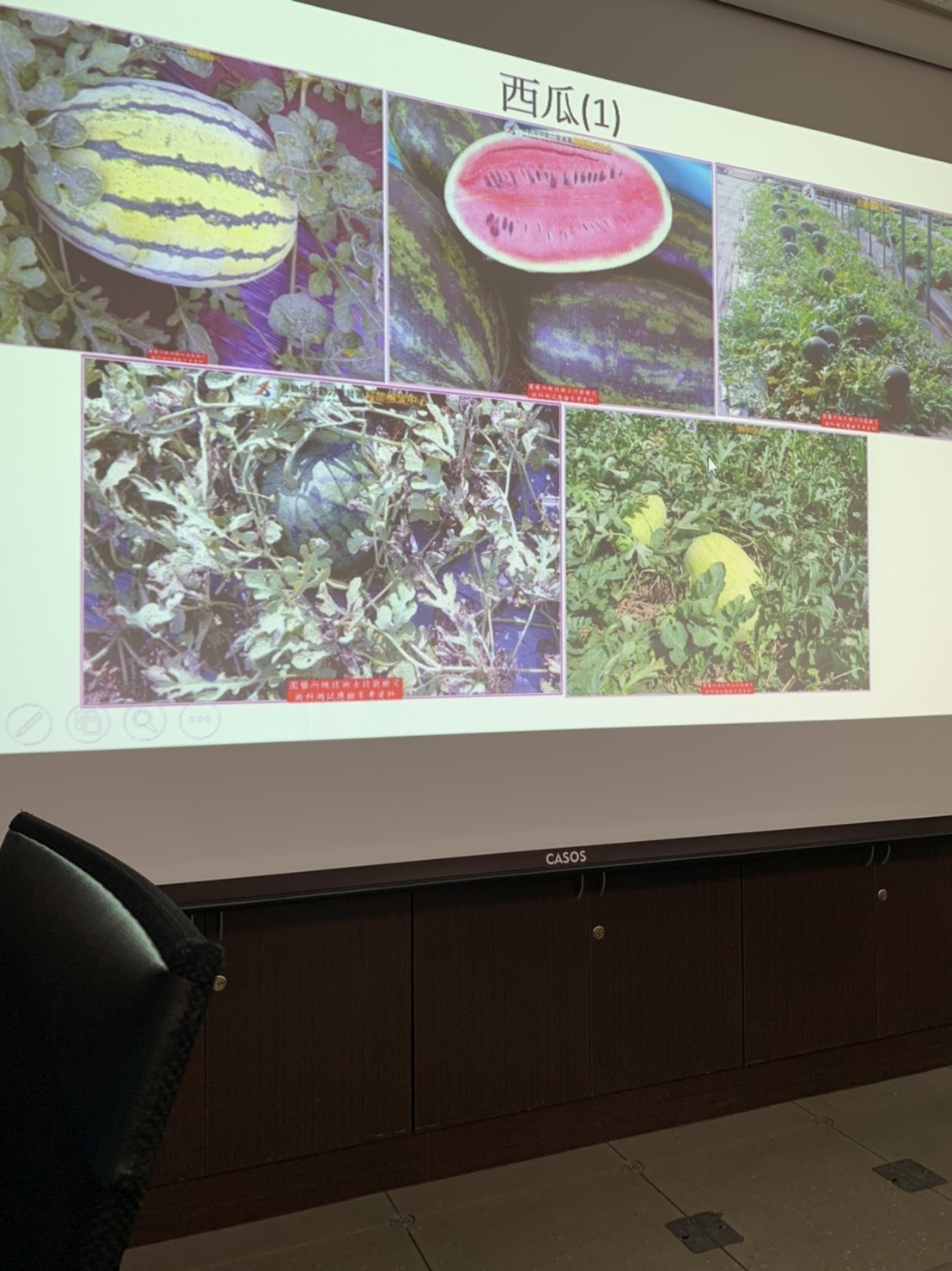 園藝技術果樹類術科資訊