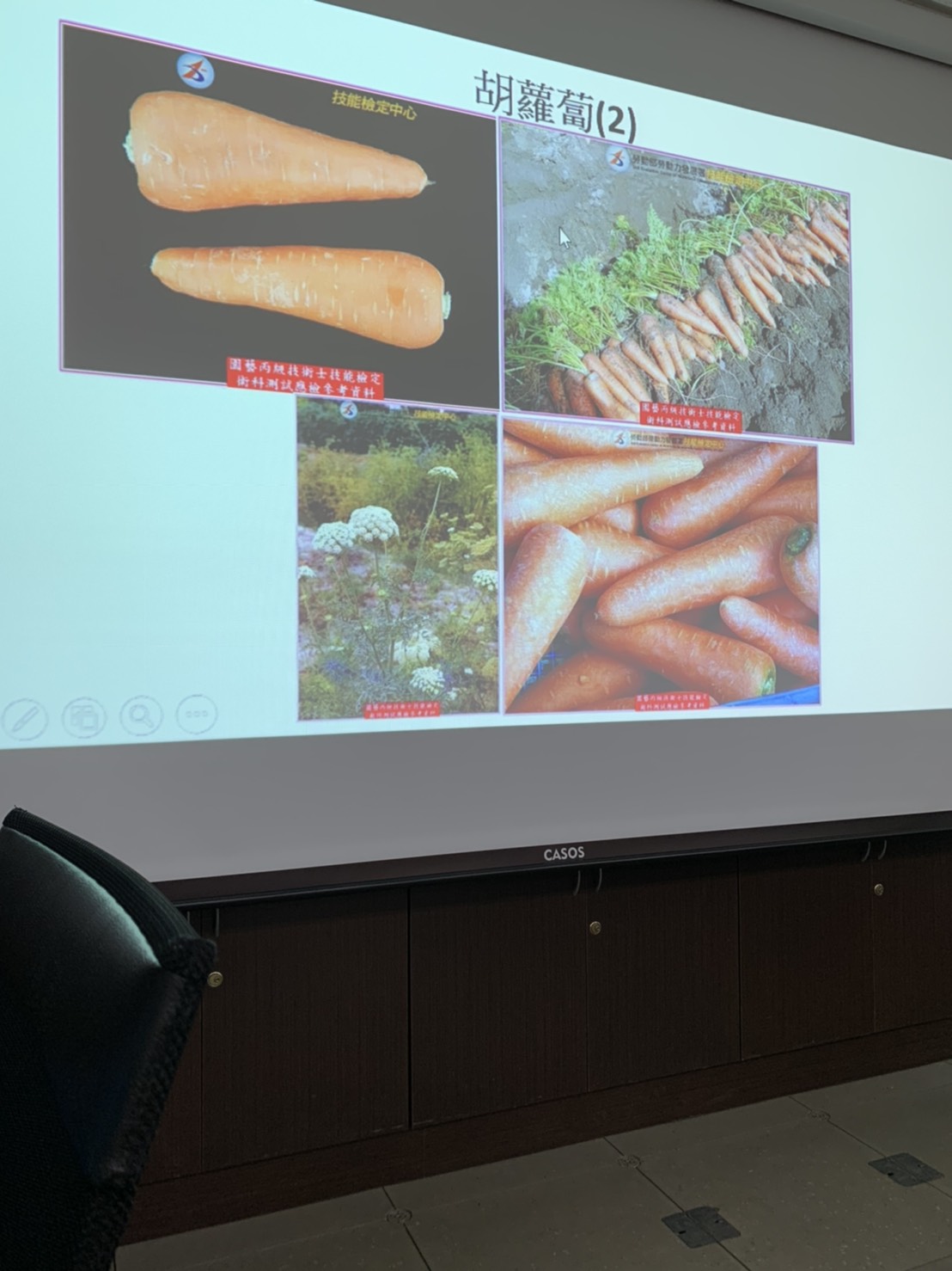 園藝技術果樹類術科資訊