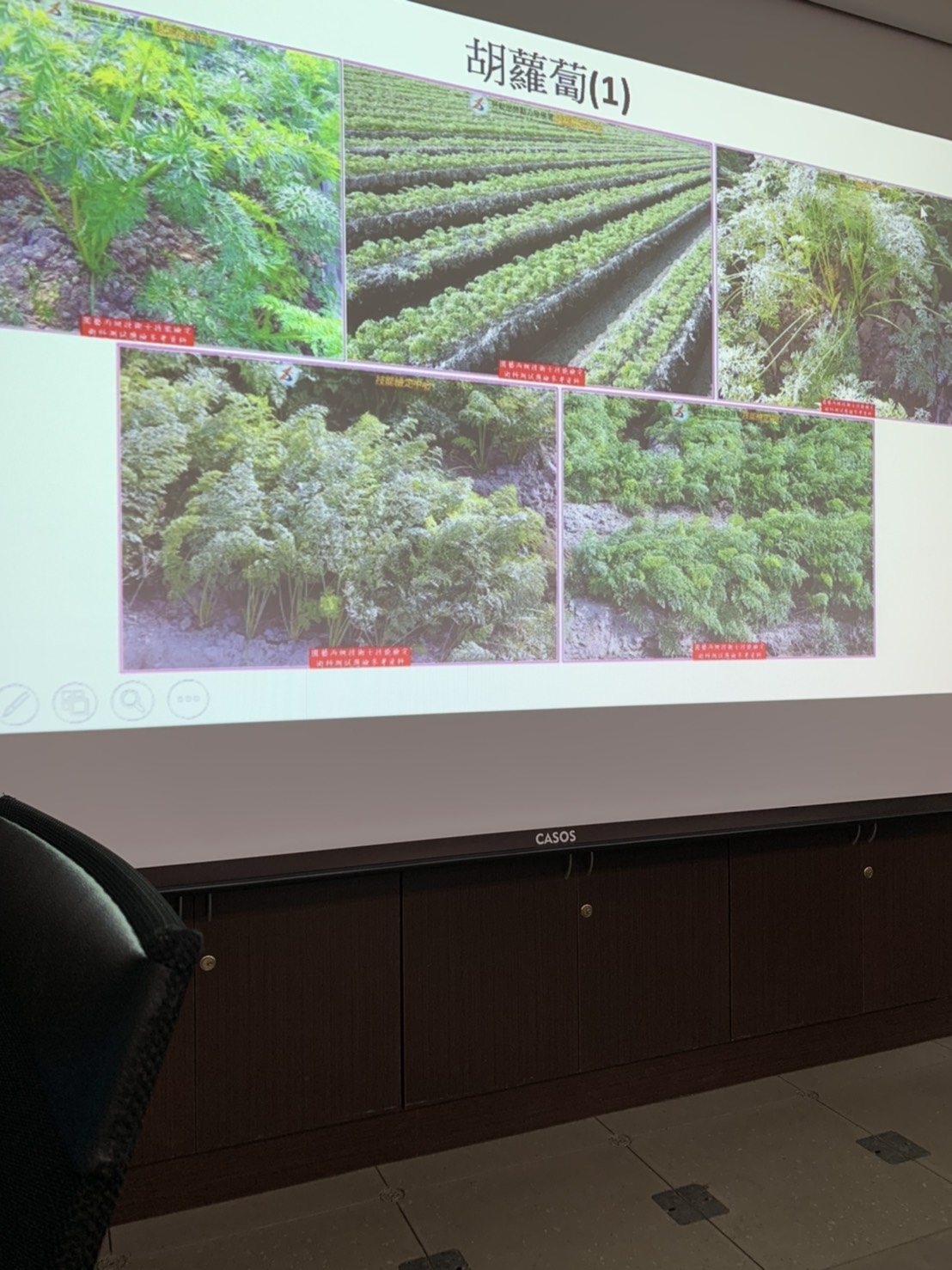 園藝技術果樹類術科資訊