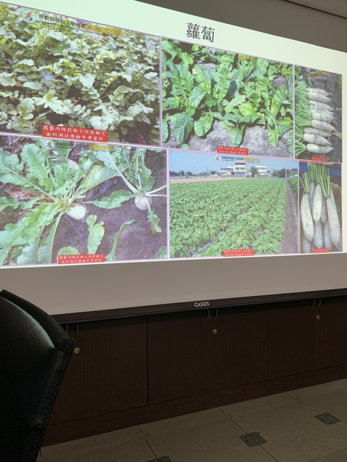 園藝技術果樹類術科資訊