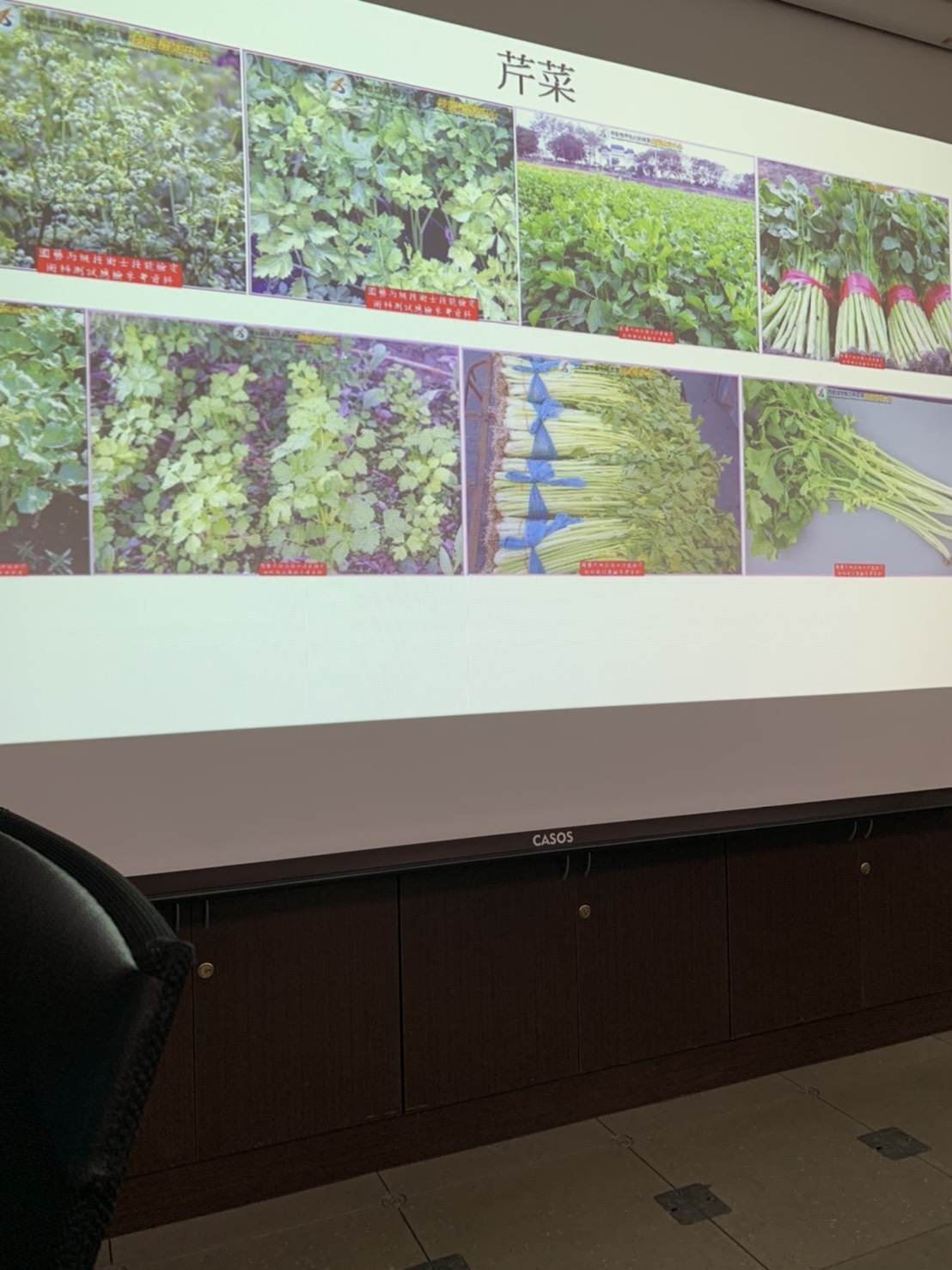 園藝技術果樹類術科資訊