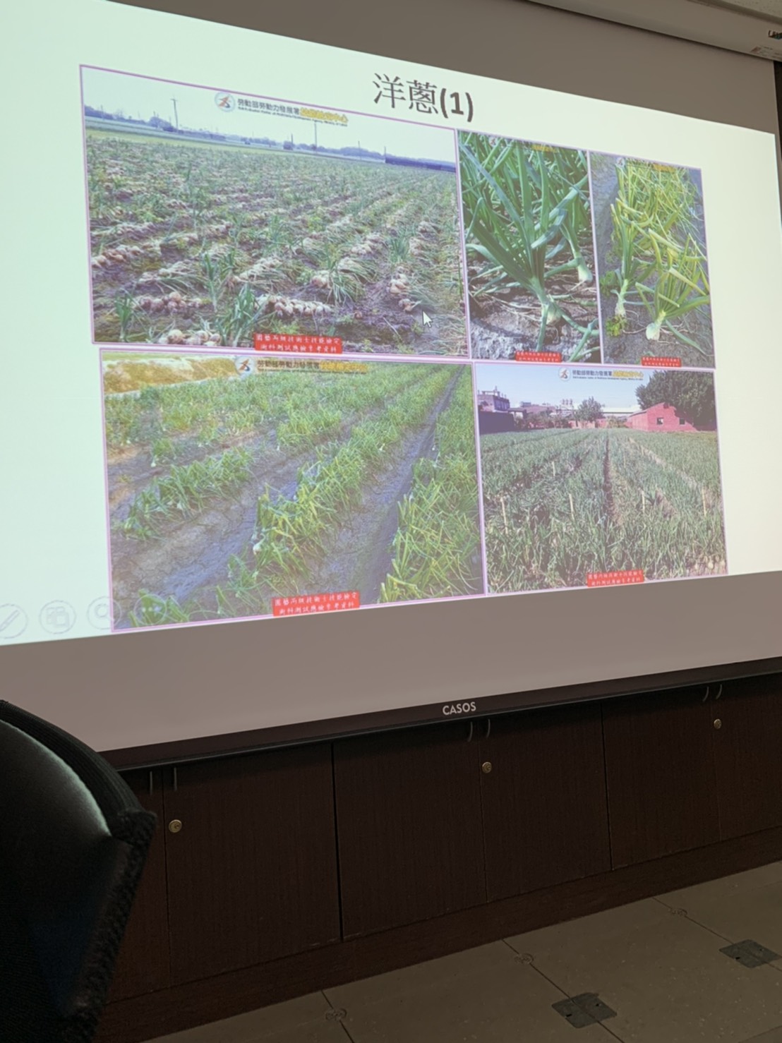 園藝技術果樹類術科資訊