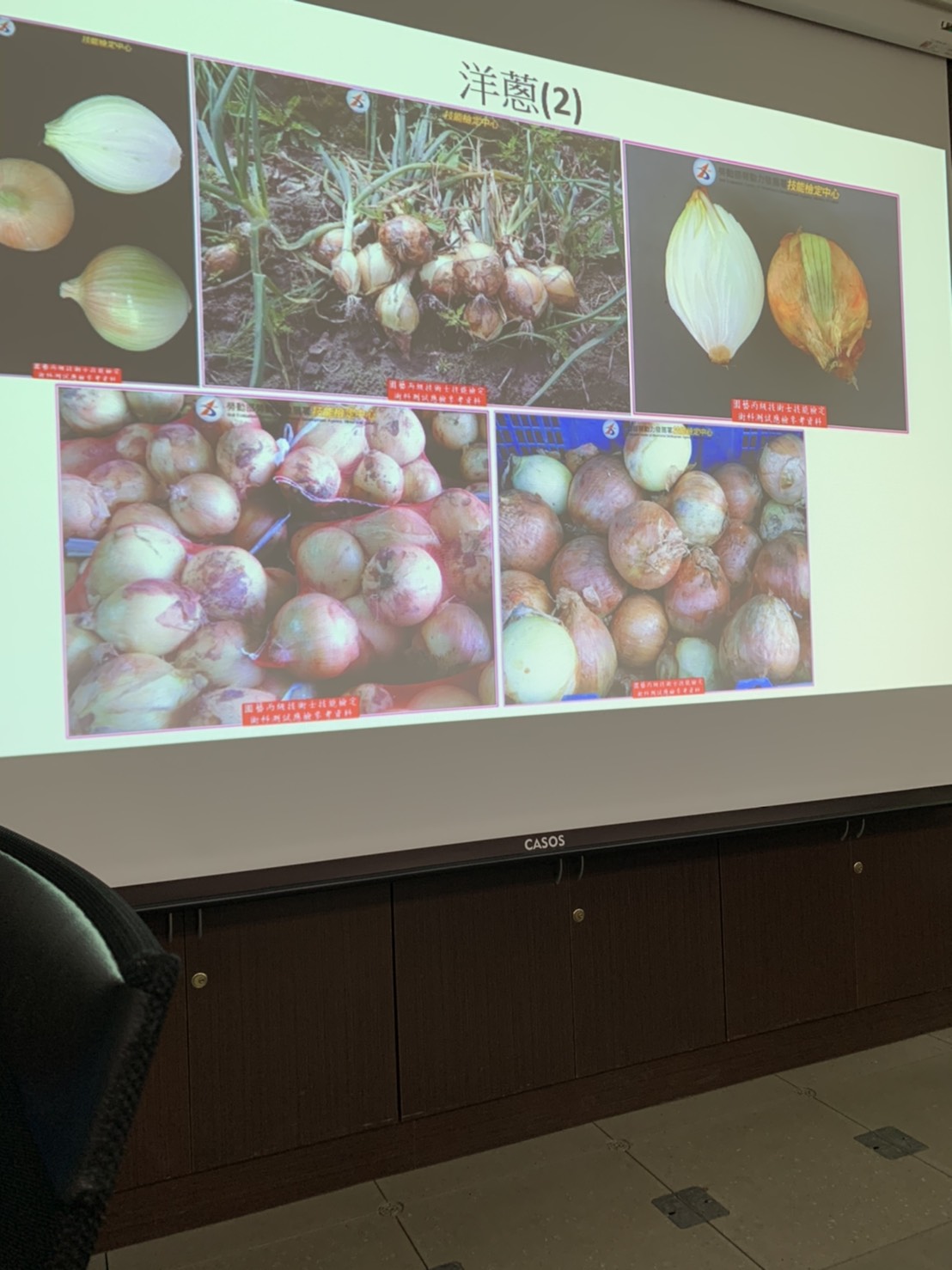 園藝技術果樹類術科資訊