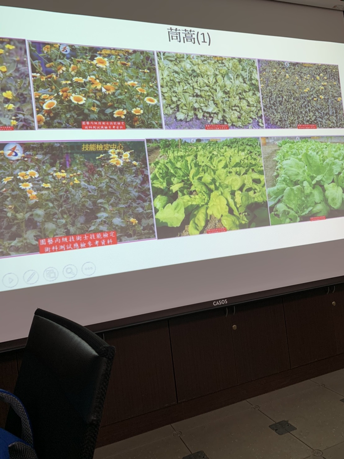 園藝技術果樹類術科資訊