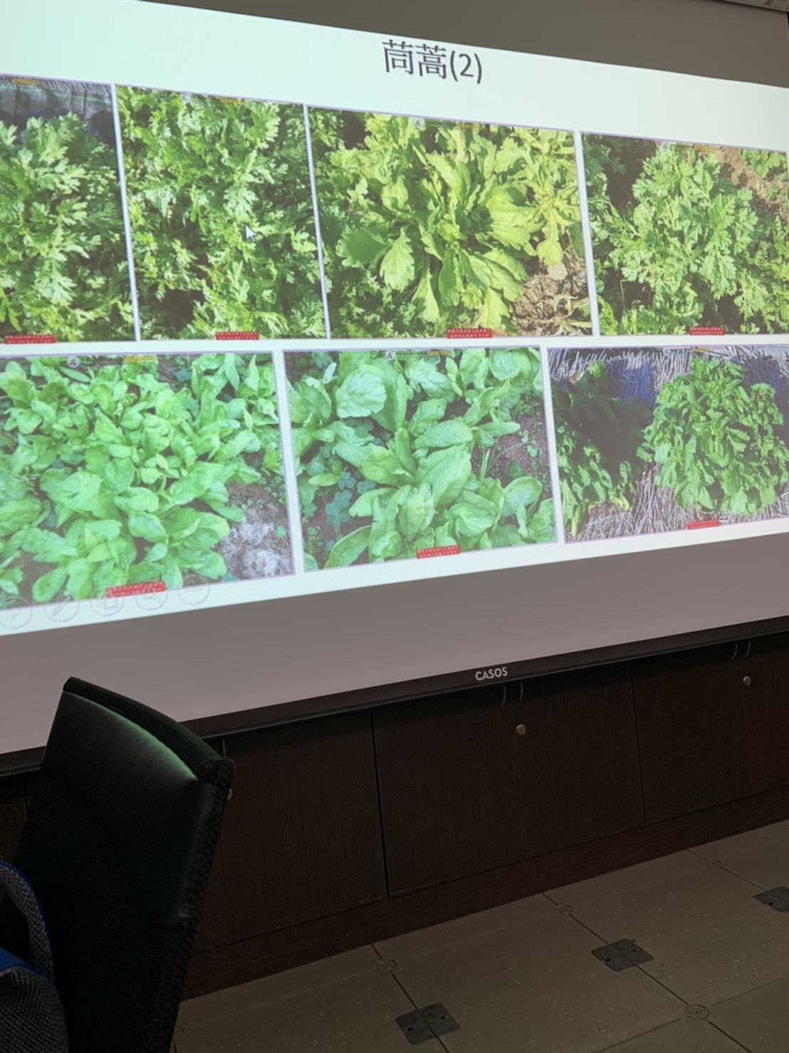 園藝技術果樹類術科資訊