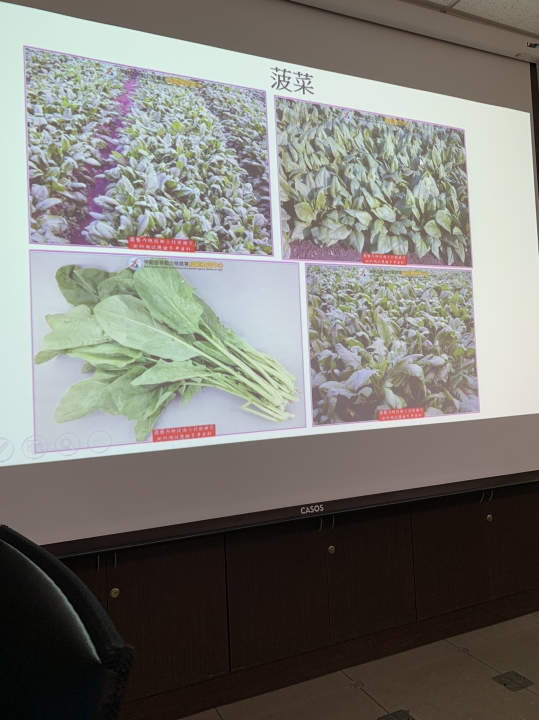 園藝技術果樹類術科資訊