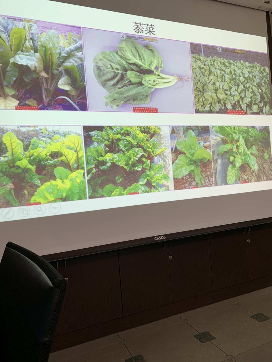 園藝技術果樹類術科資訊