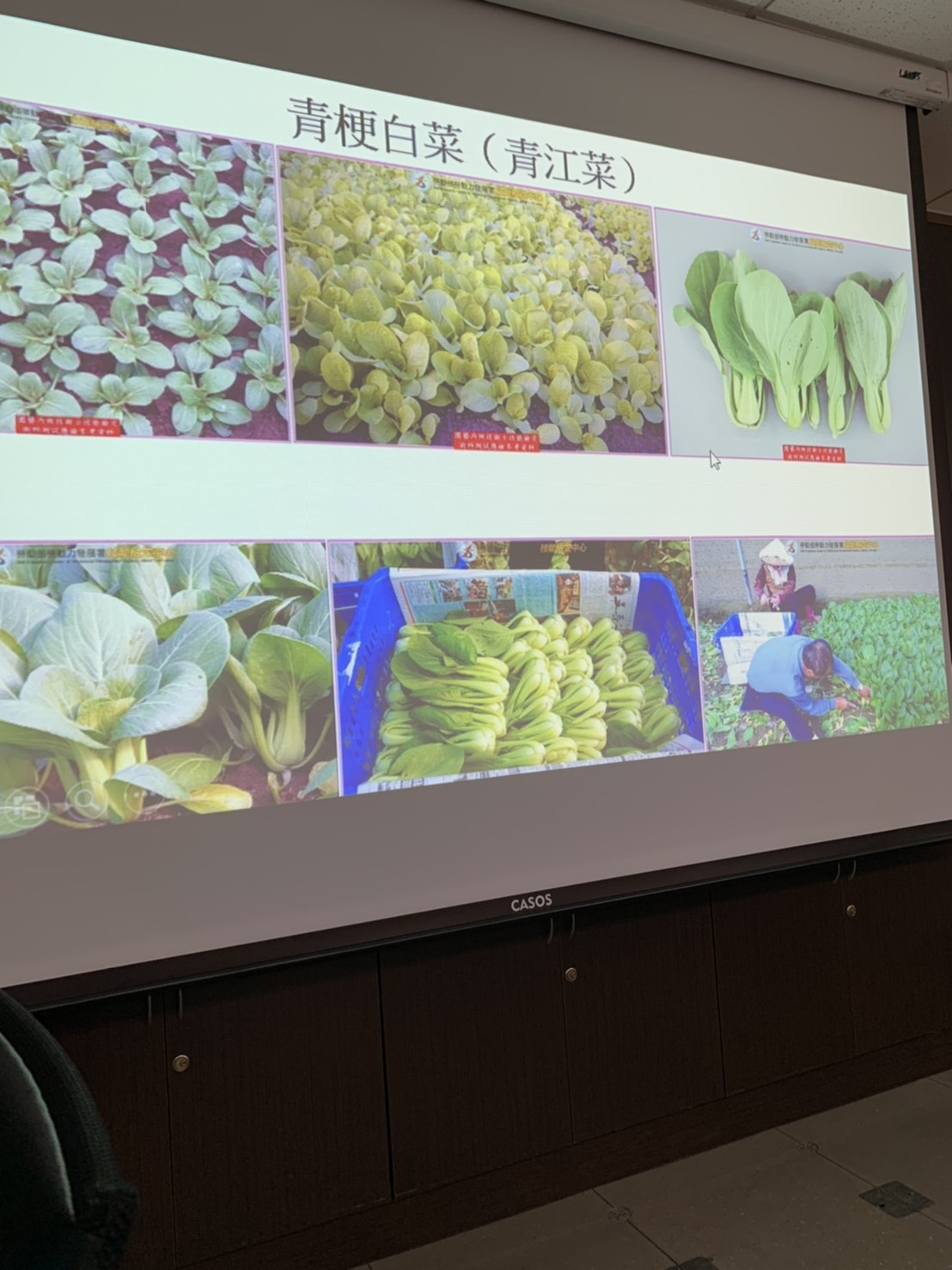 園藝技術果樹類術科資訊