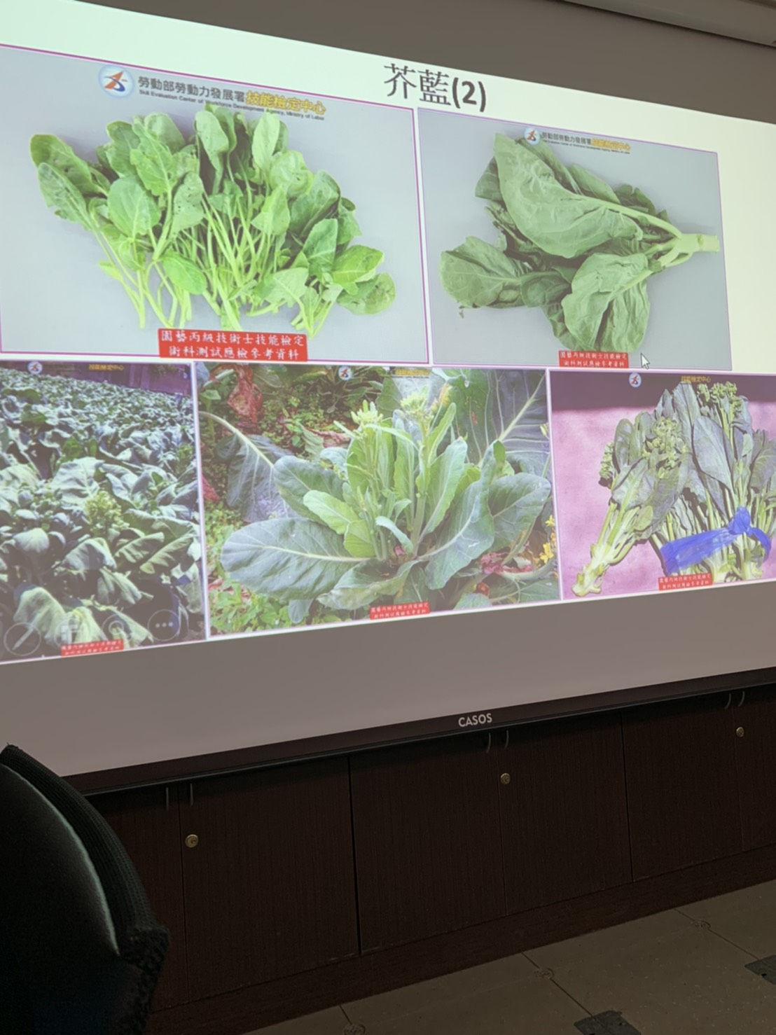 園藝技術果樹類術科資訊