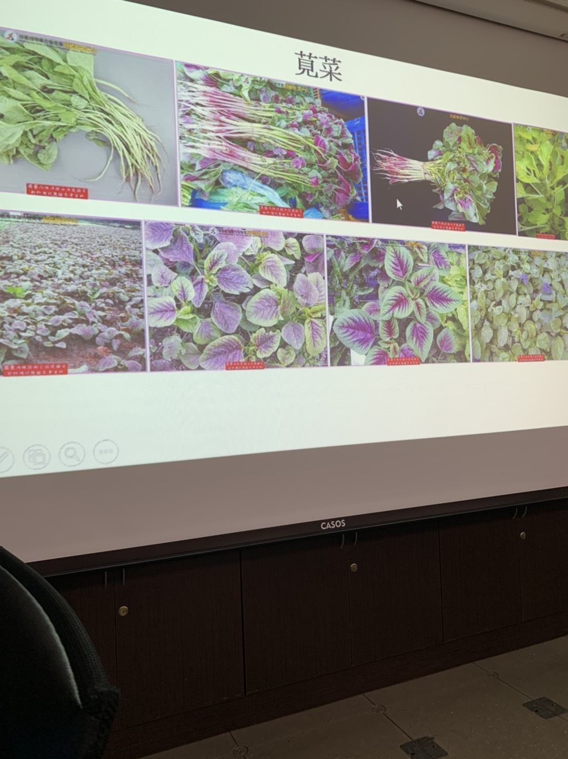 園藝技術果樹類術科資訊