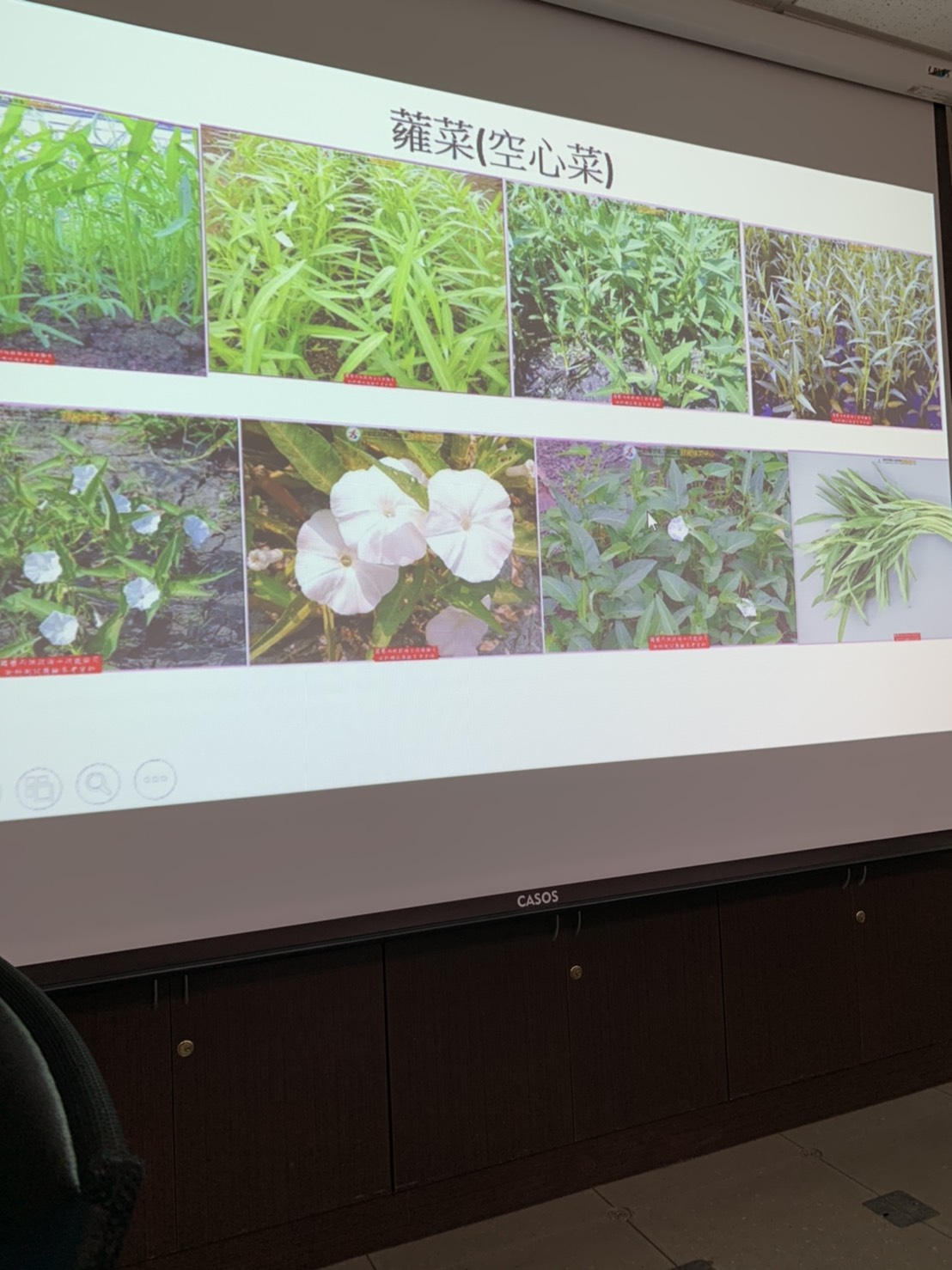 園藝技術果樹類術科資訊