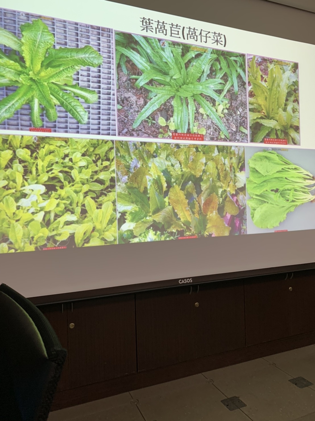 園藝技術果樹類術科資訊