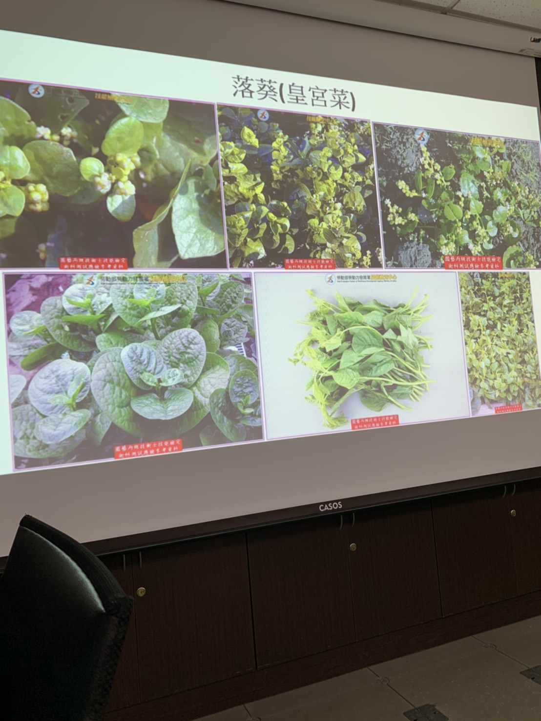 園藝技術果樹類術科資訊