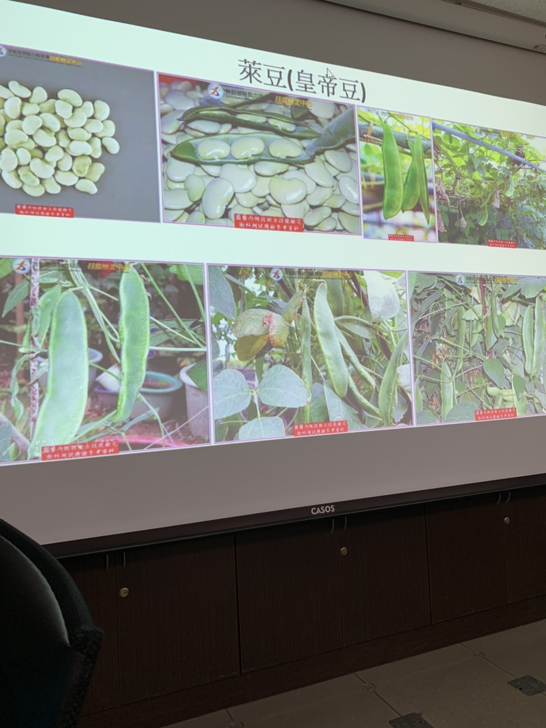 園藝技術果樹類術科資訊