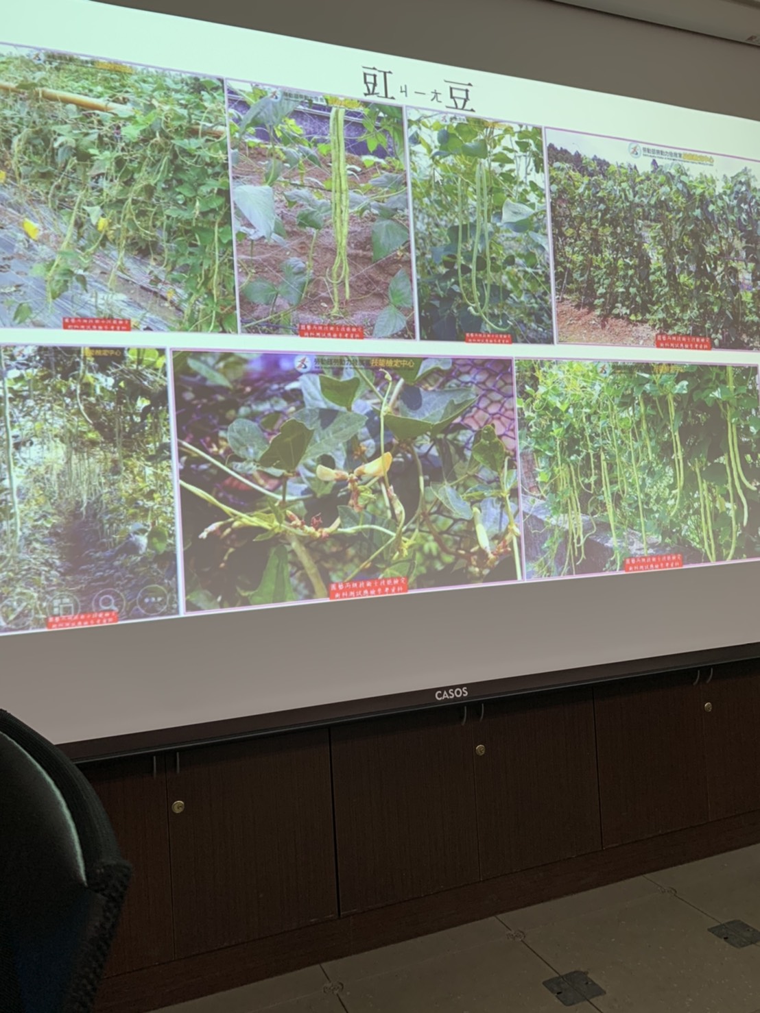 園藝技術果樹類術科資訊