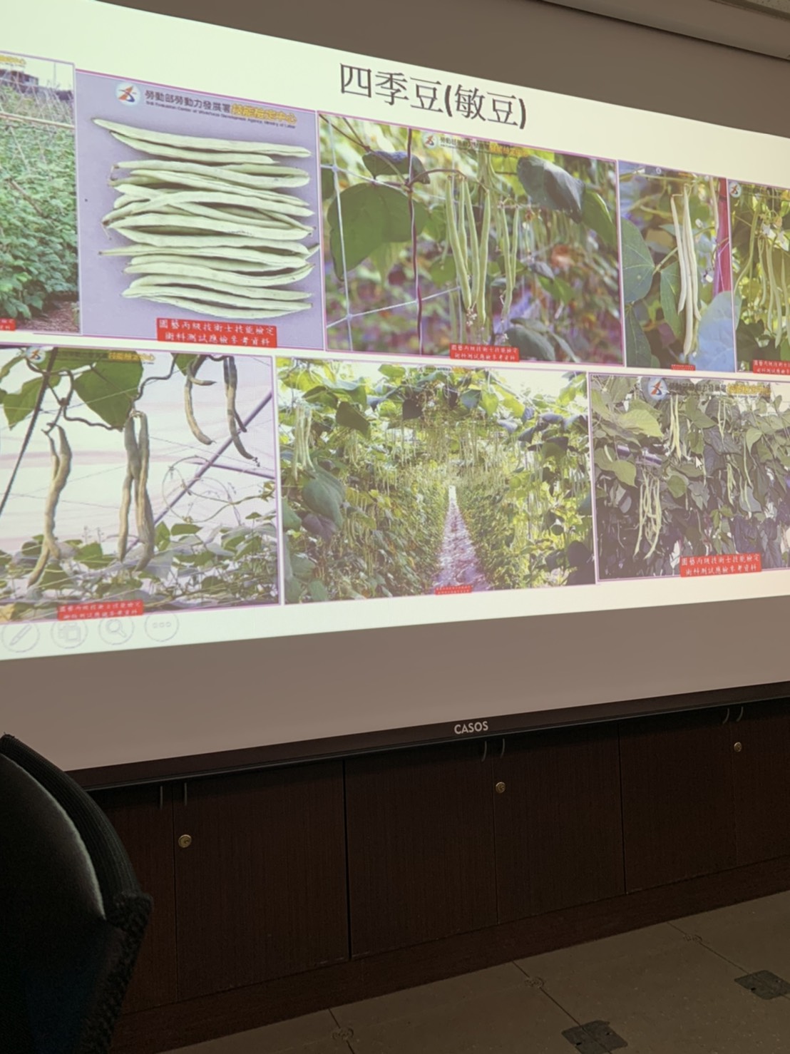 園藝技術果樹類術科資訊