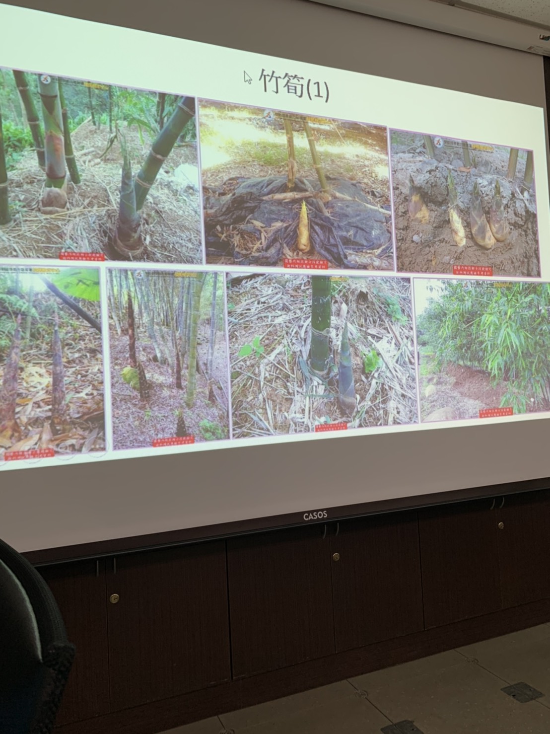 園藝技術果樹類術科資訊