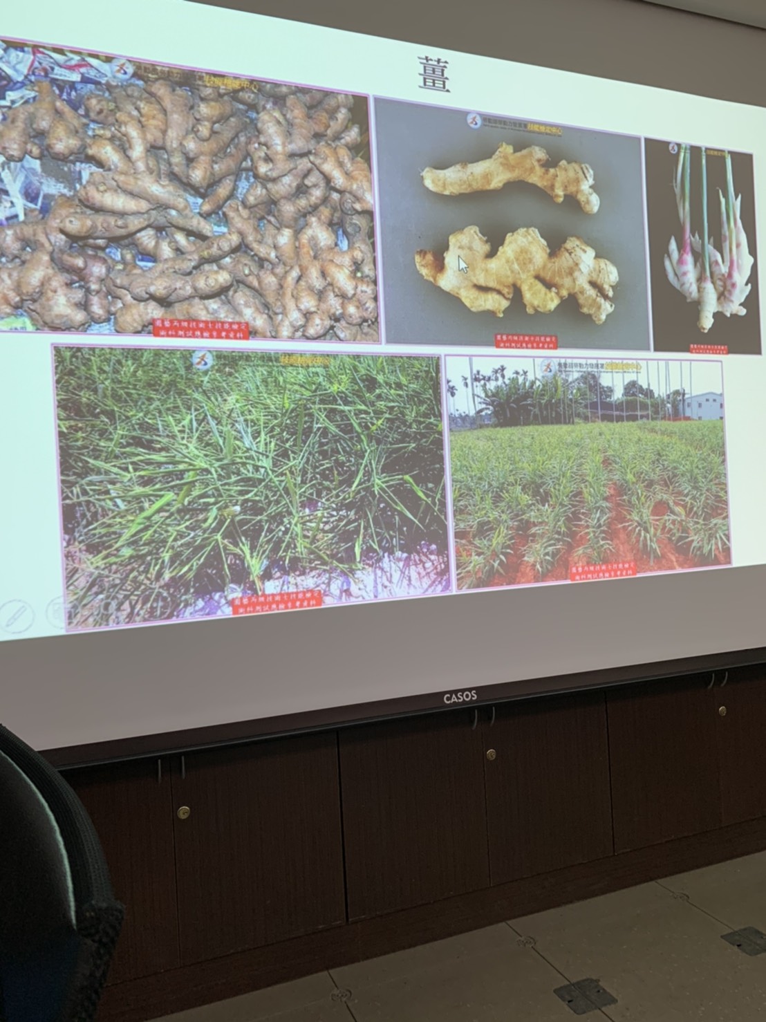 園藝技術果樹類術科資訊