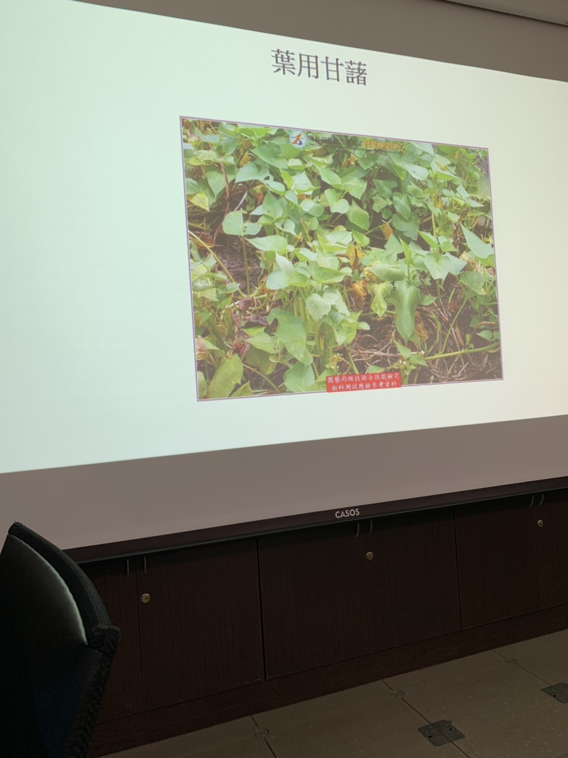 園藝技術果樹類術科資訊