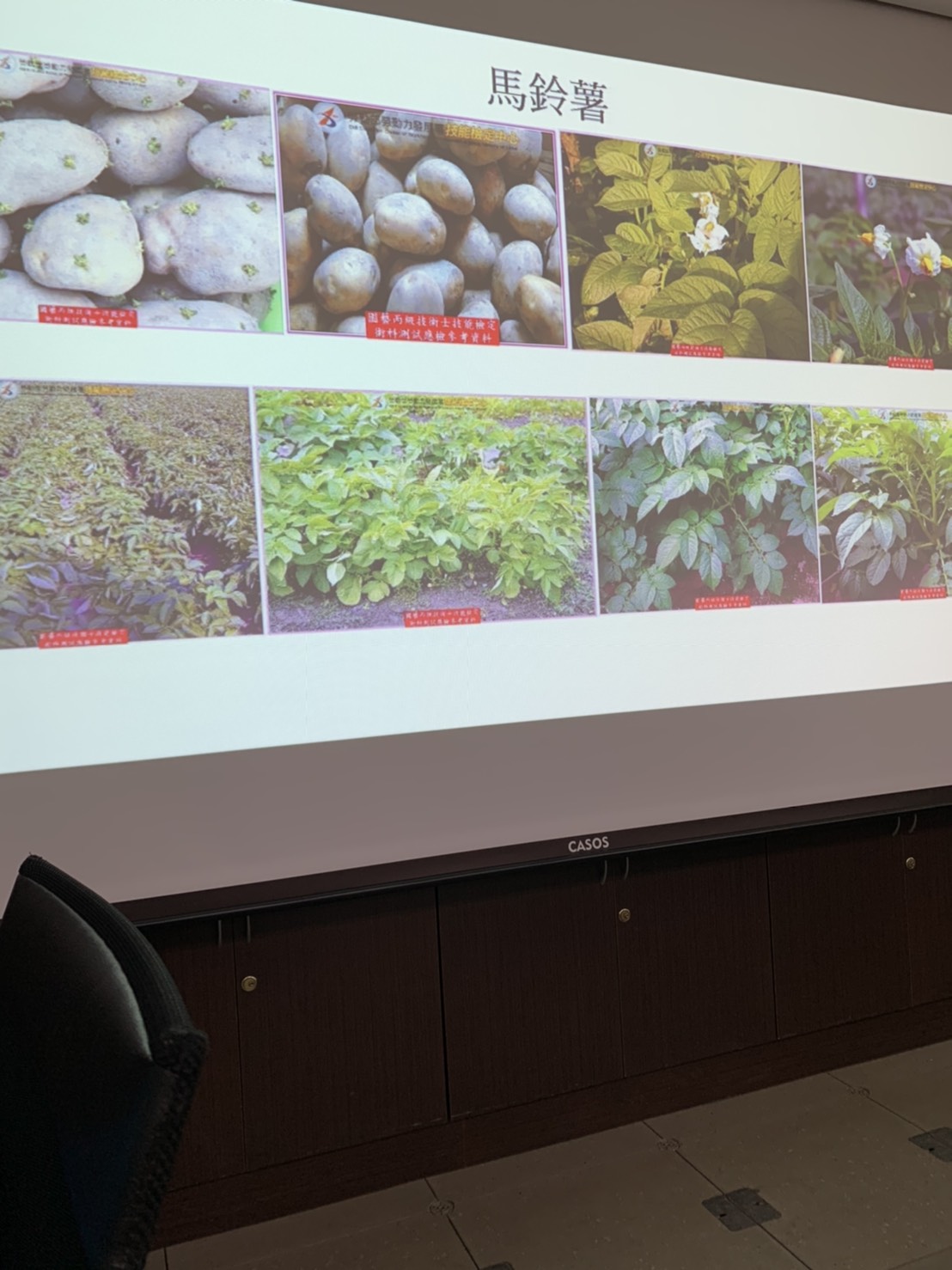 園藝技術果樹類術科資訊