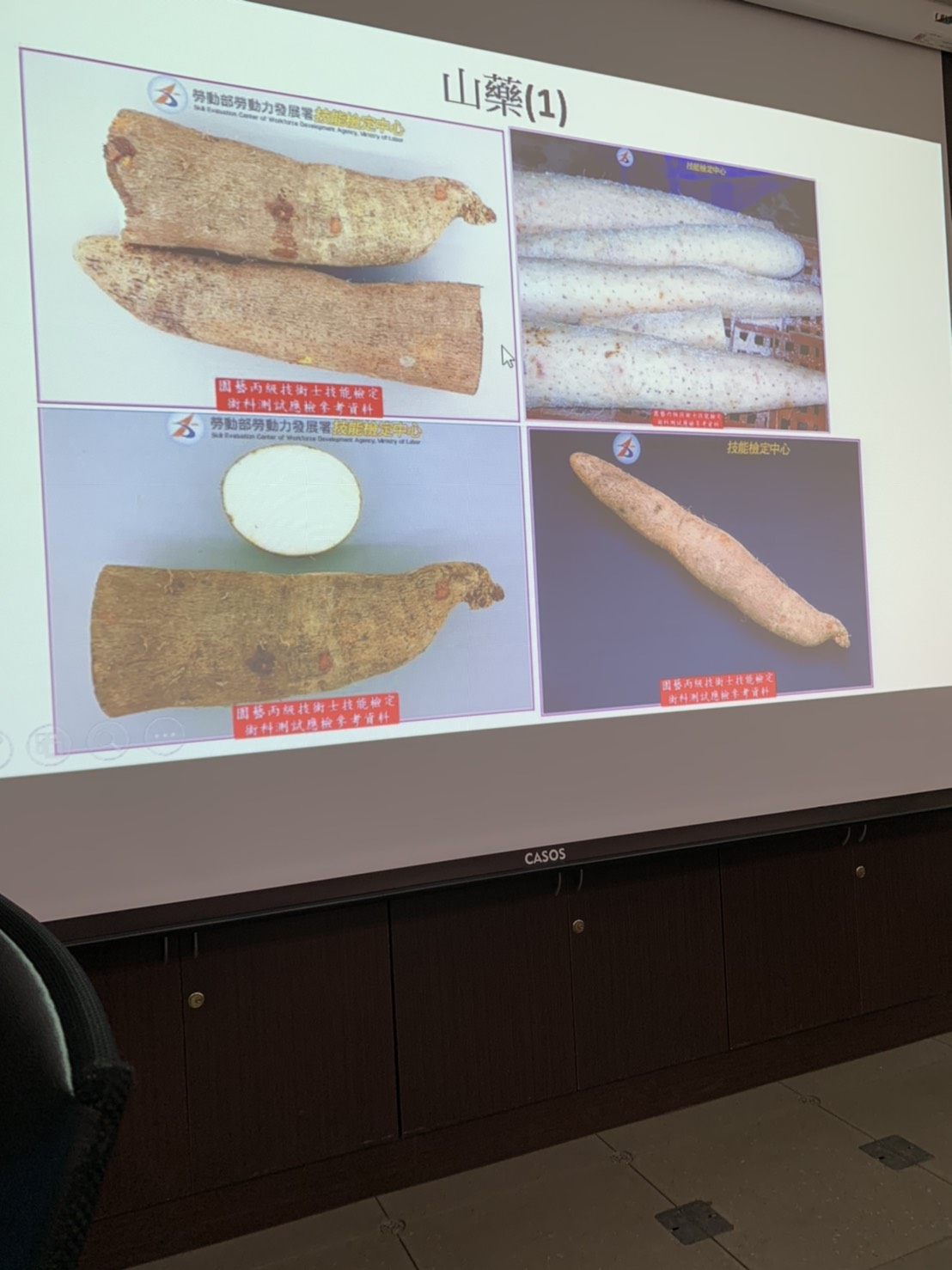 園藝技術果樹類術科資訊