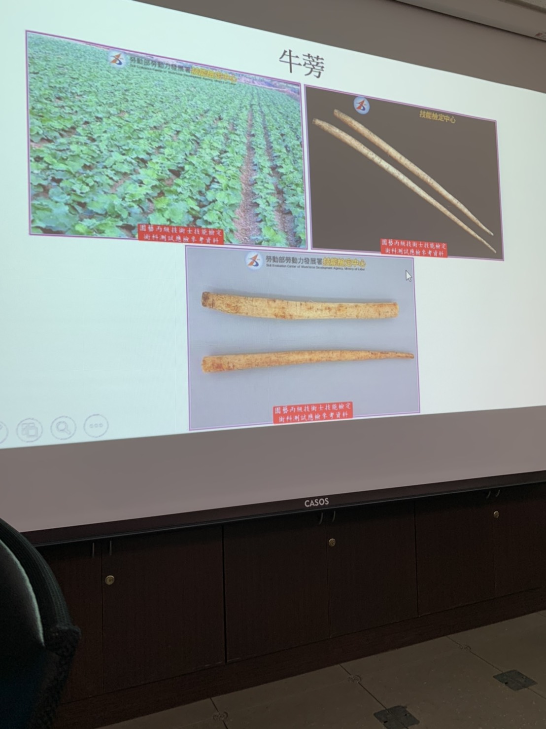 園藝技術果樹類術科資訊