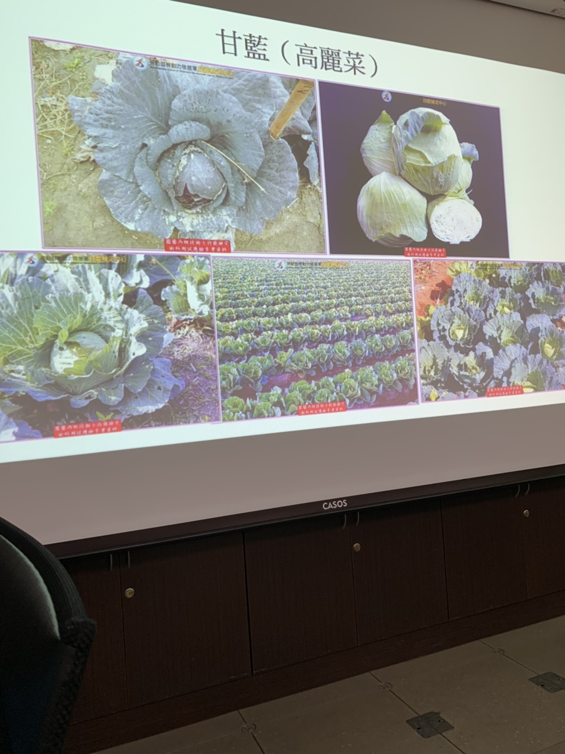 園藝技術果樹類術科資訊