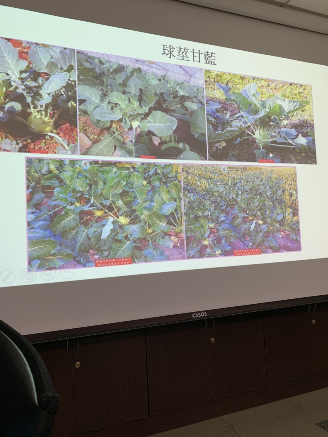 園藝技術果樹類術科資訊