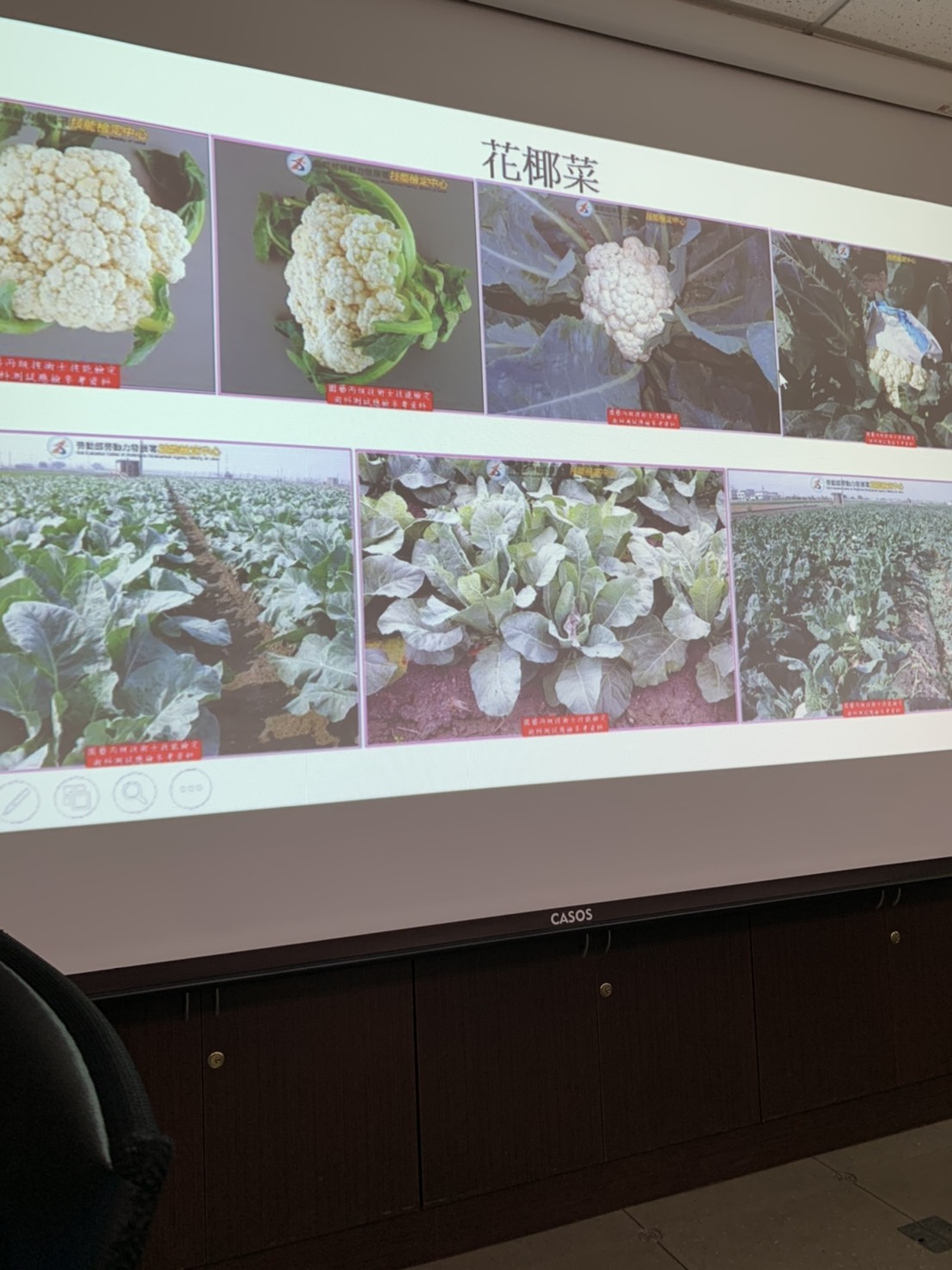 園藝技術果樹類術科資訊