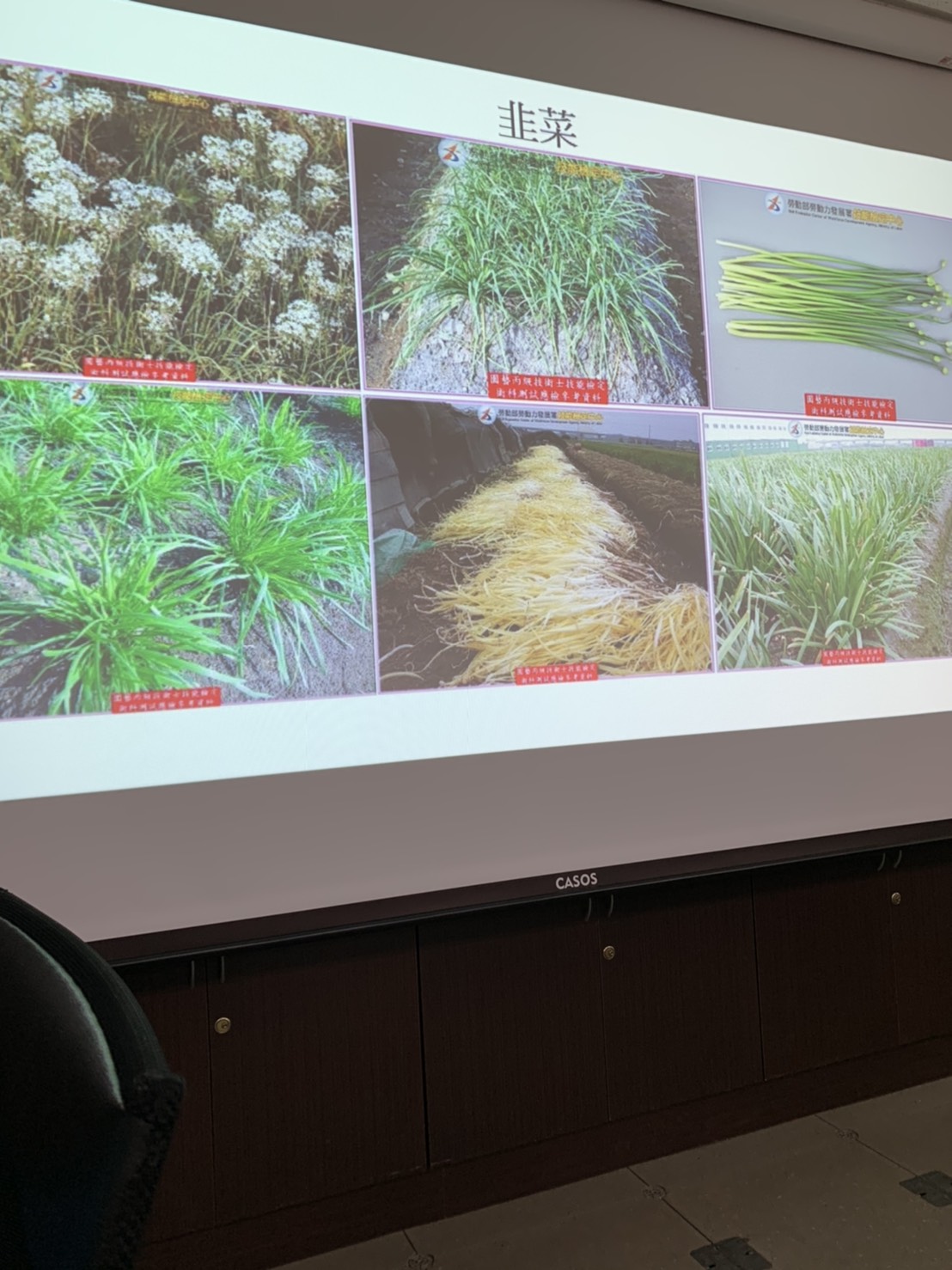 園藝技術果樹類術科資訊