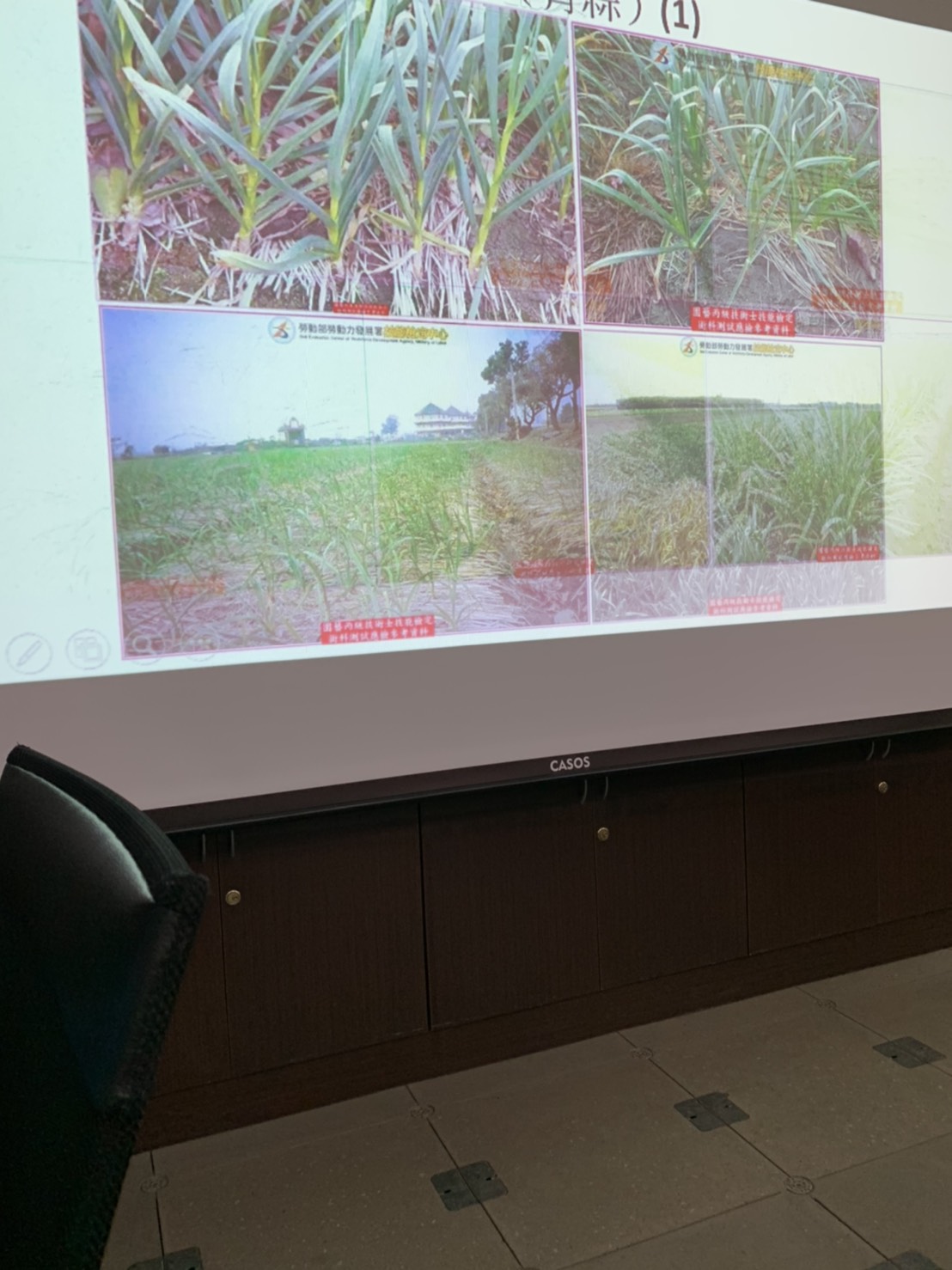 園藝技術果樹類術科資訊