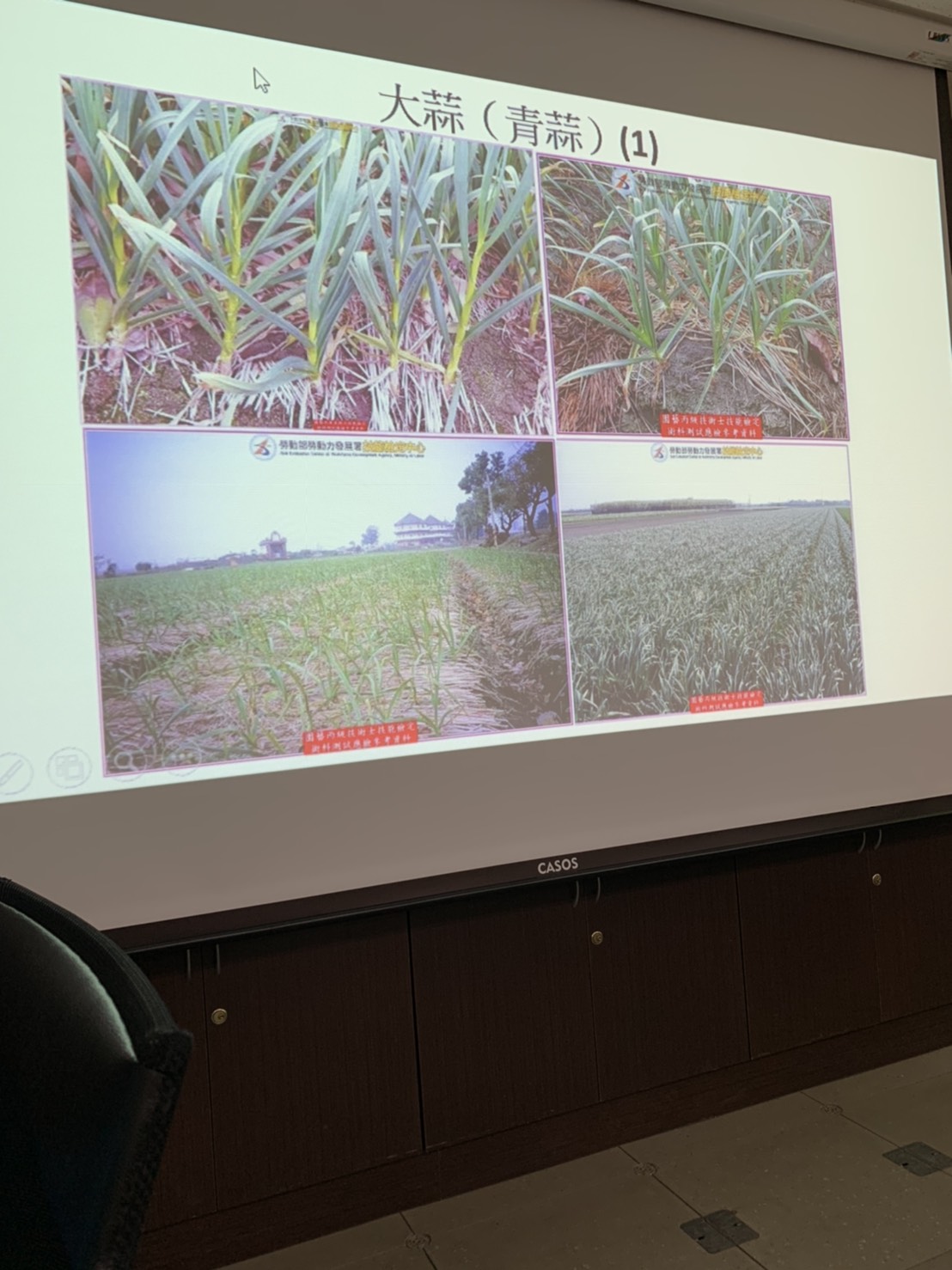 園藝技術果樹類術科資訊