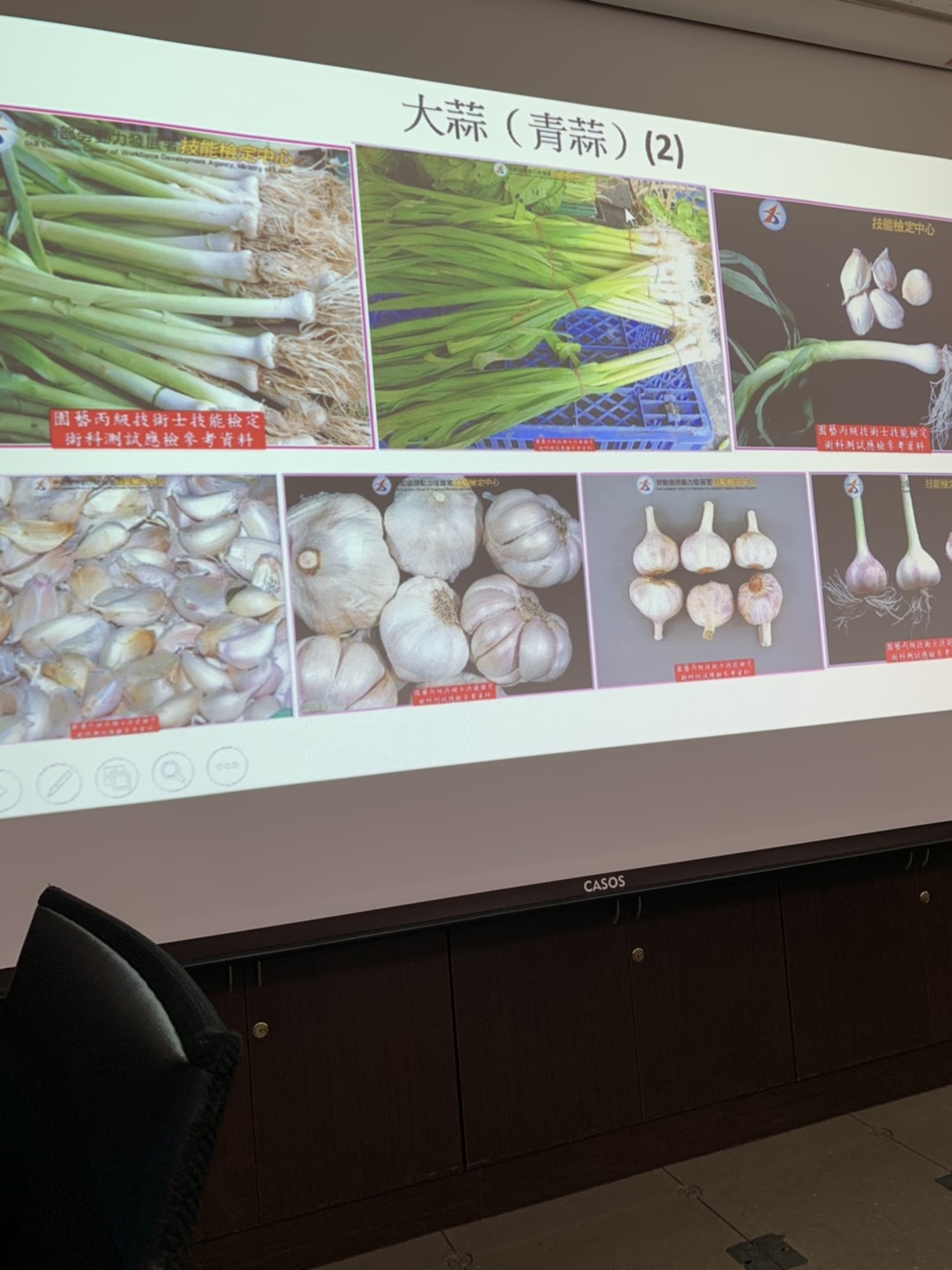 園藝技術果樹類術科資訊