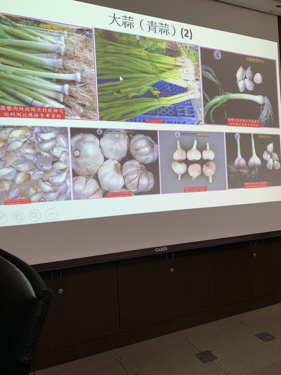 園藝技術果樹類術科資訊