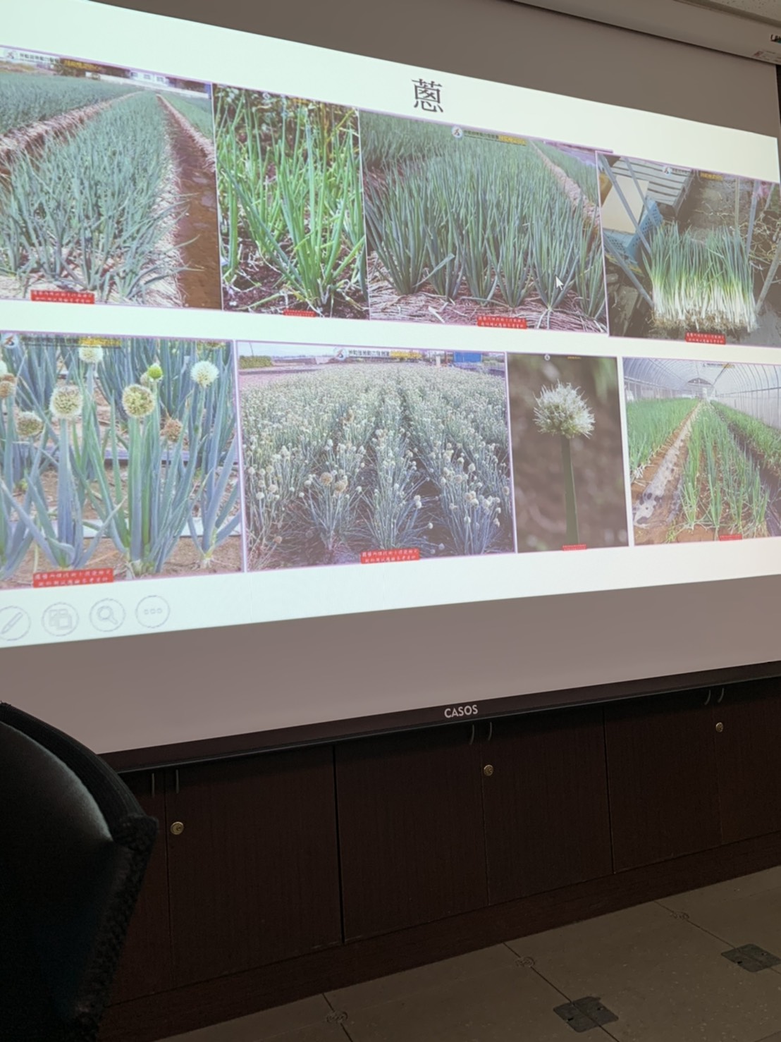 園藝技術果樹類術科資訊