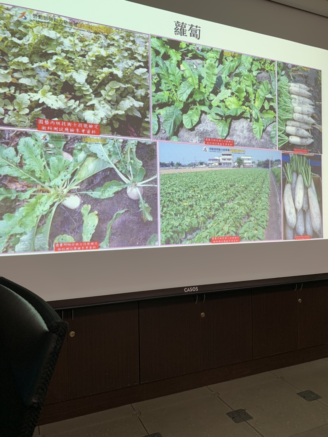 園藝技術果樹類術科資訊