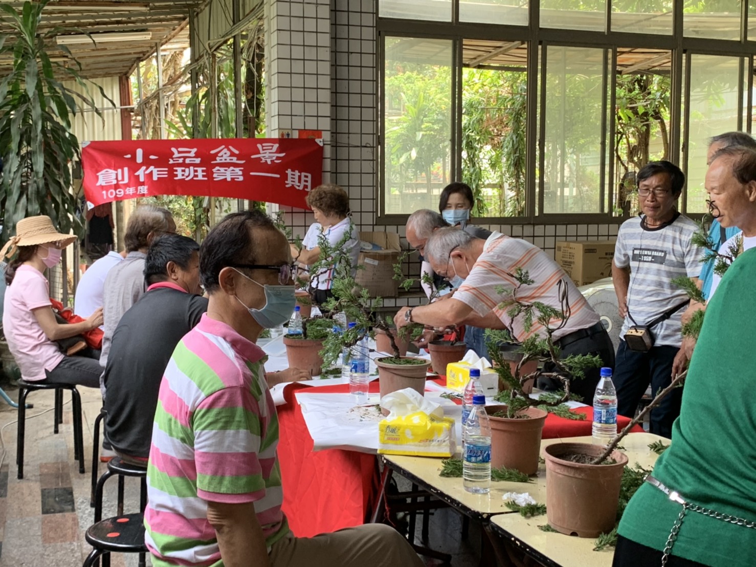 小品盆景創作班