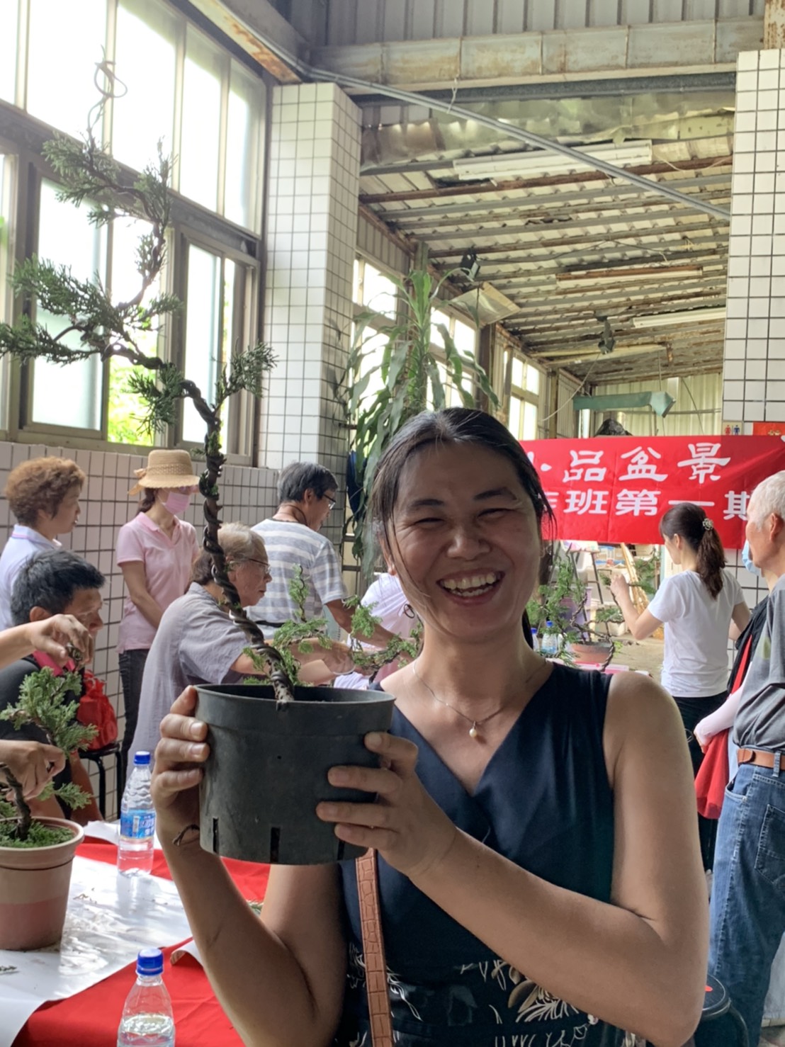 小品盆景創作班