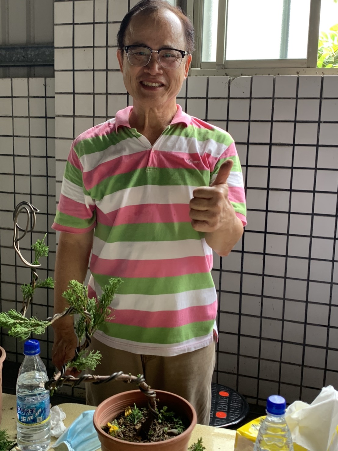 小品盆景創作班