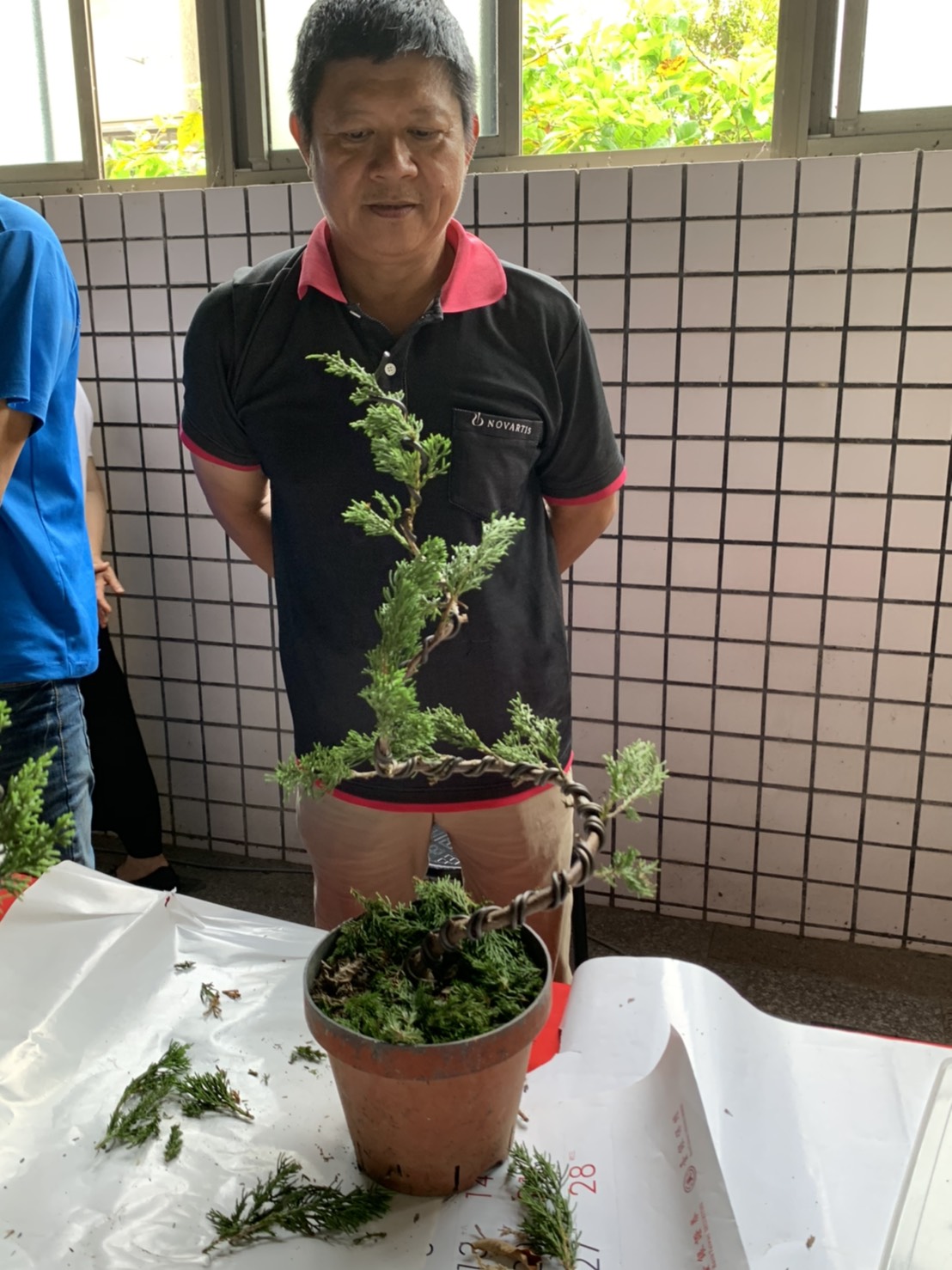 小品盆景創作班