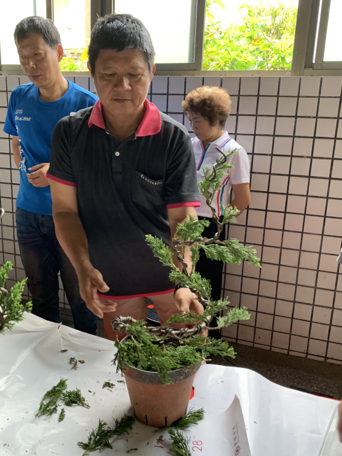 小品盆景創作班