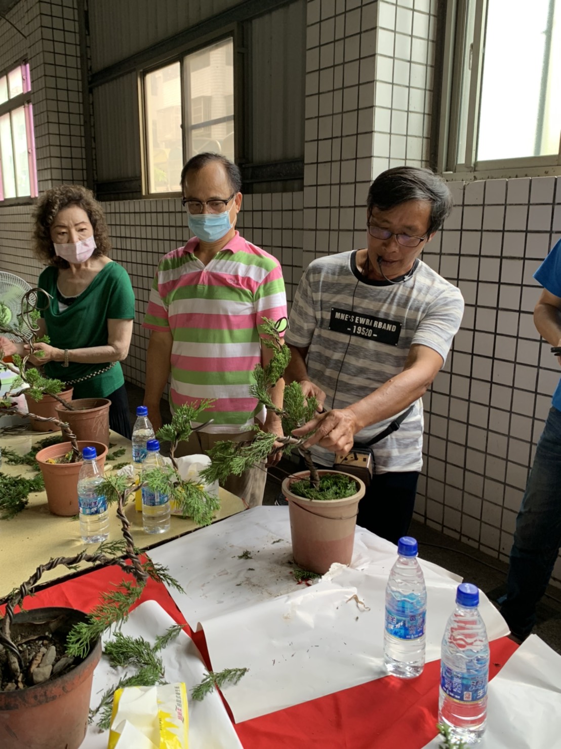 小品盆景創作班