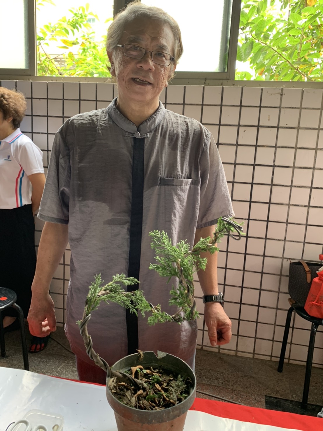 小品盆景創作班