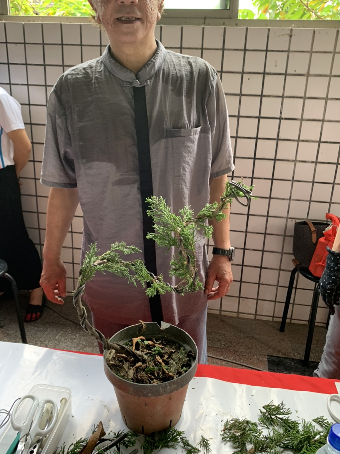 小品盆景創作班