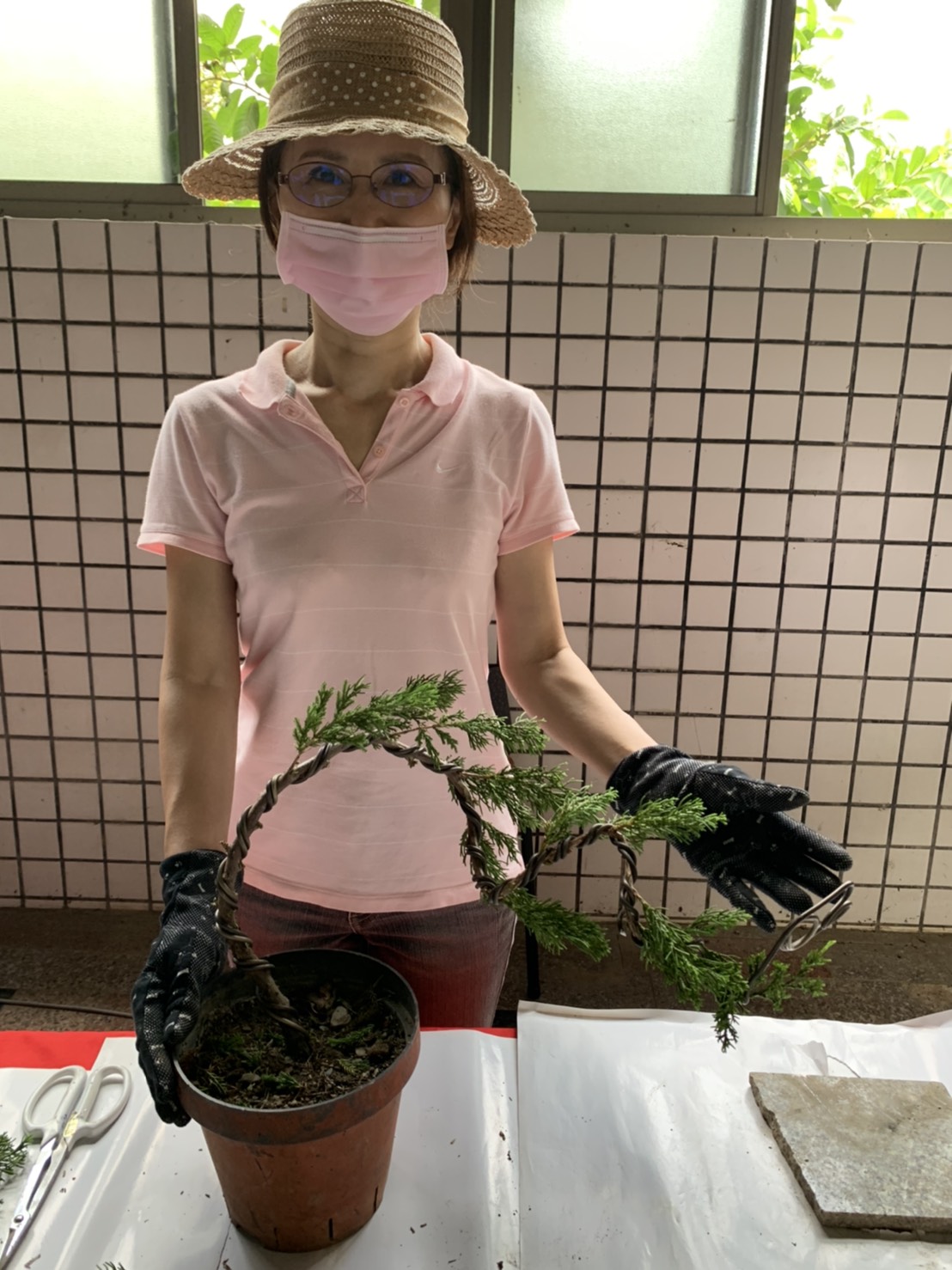 小品盆景創作班