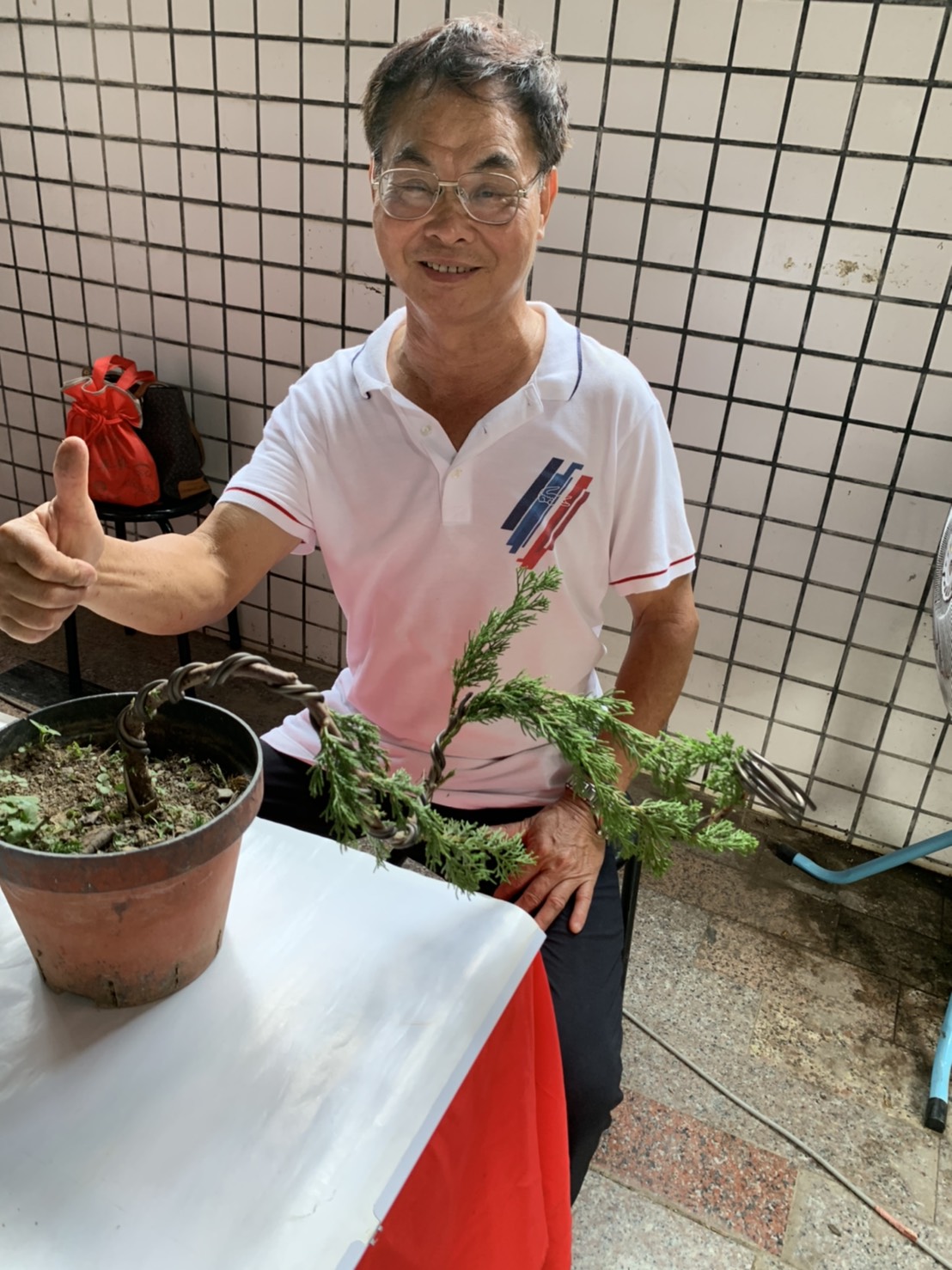 小品盆景創作班